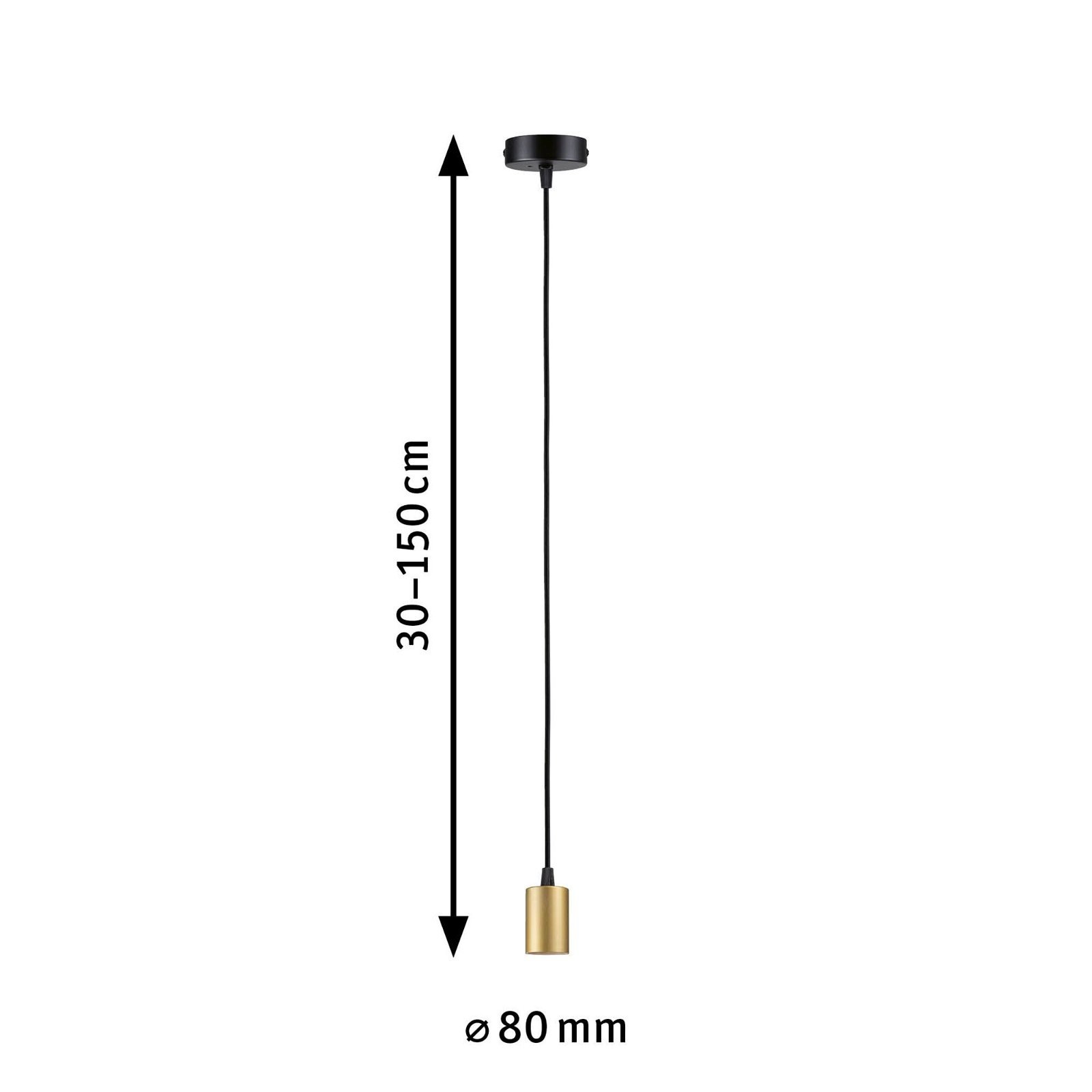 Paulmann Pendelleuchte »Ravi IP44 max 1x60W 230V Metall«, Leuchtmittel E27 | ohne Leuchtmittel, E27