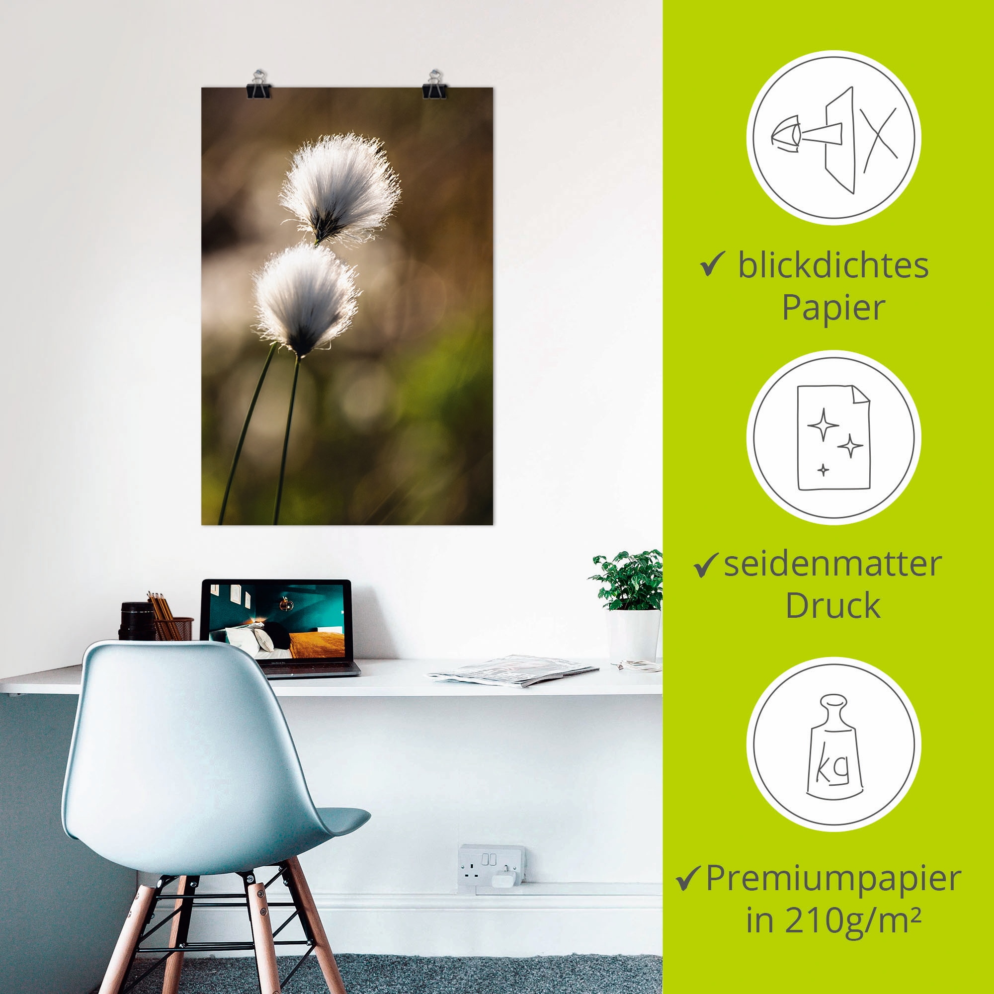 Artland Wandbild »Wollgras I«, Gräser, (1 St.), als Alubild, Outdoorbild, Leinwandbild, Poster in verschied. Größen