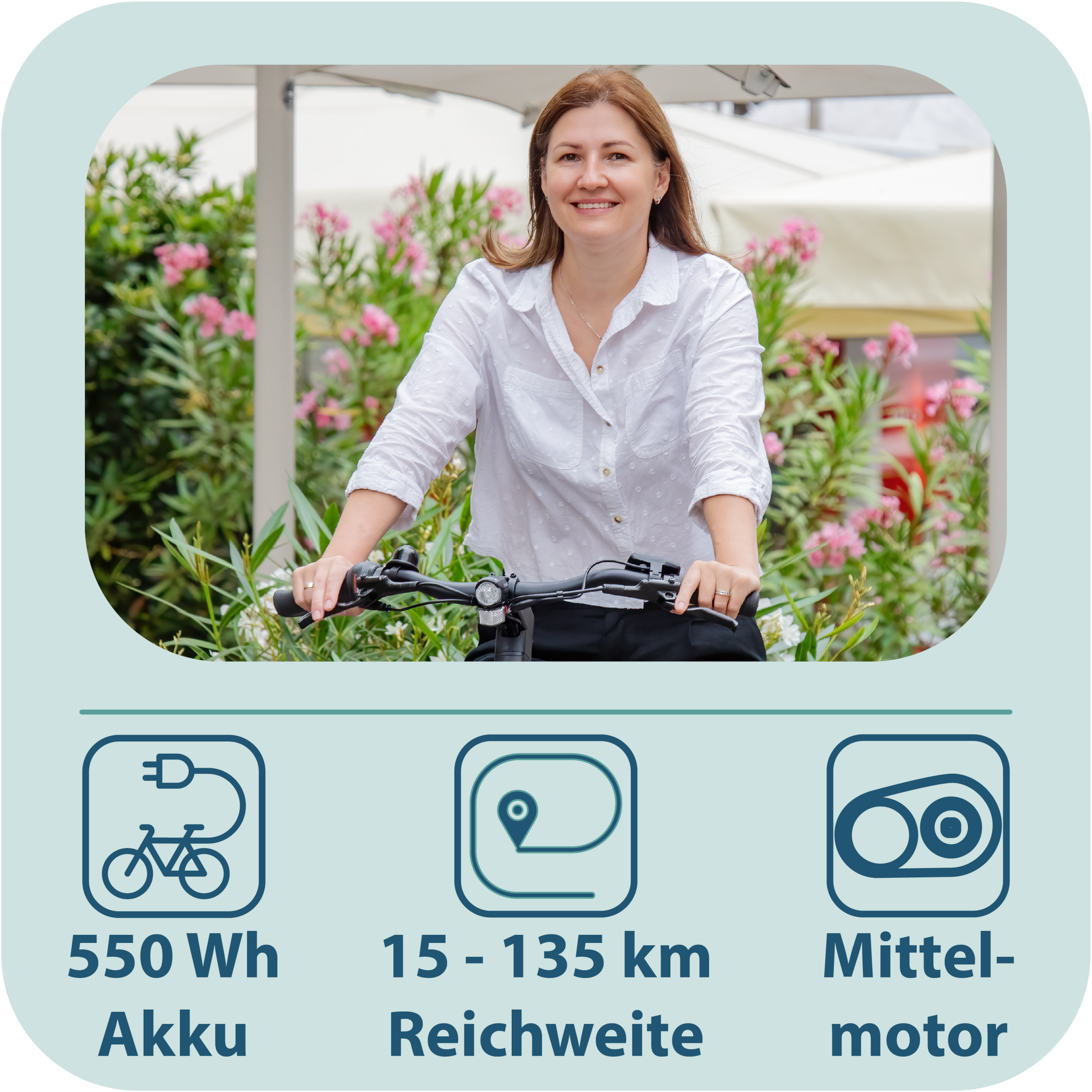 Tretwerk »Amber Nexus« 7 Gang Nabenschaltung Mittelmotor 250 W