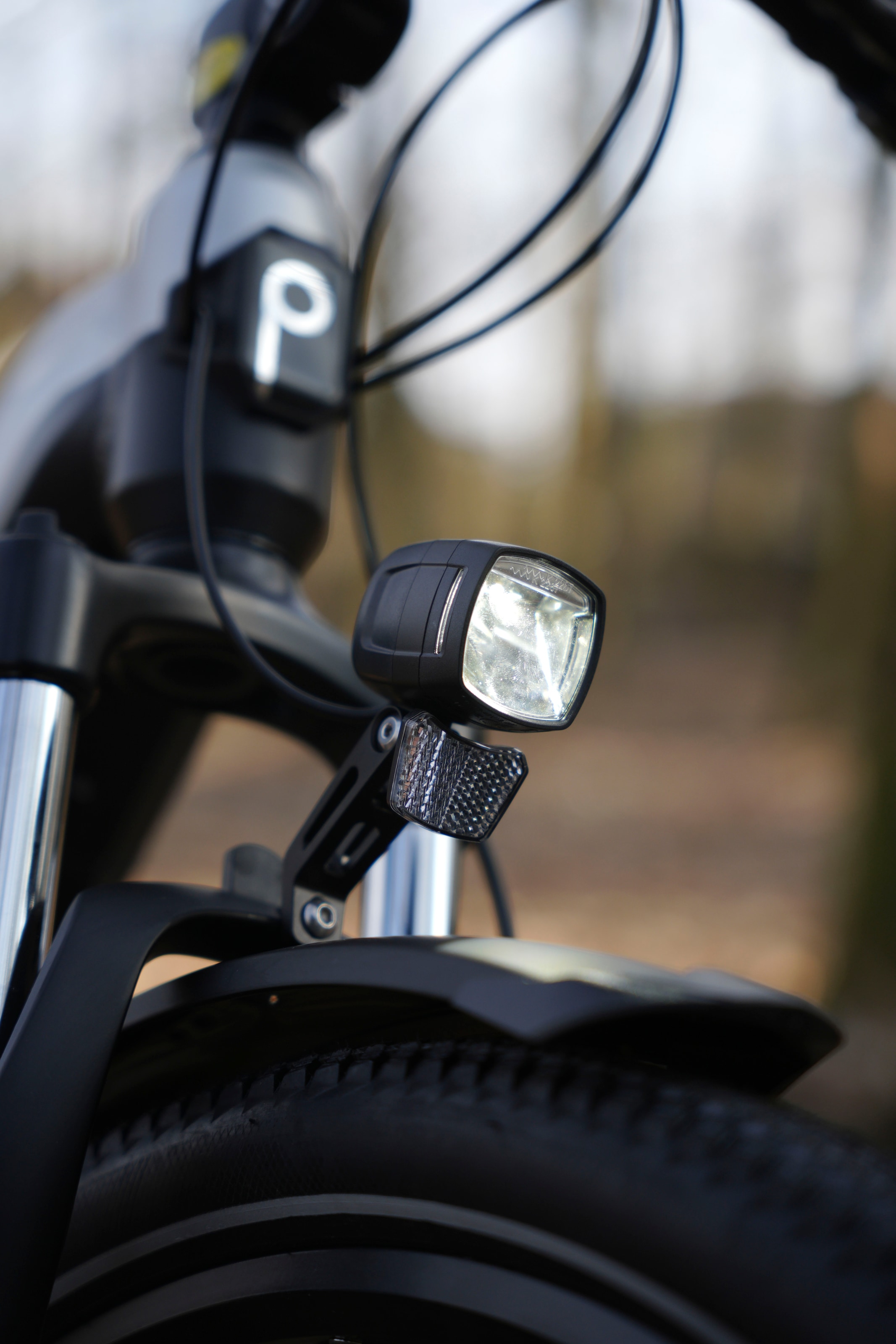 Prophete »Stack 1.8« 9 Gang Shimano Alivio Schaltwerk Kettenschaltung Heckmotor 250 W