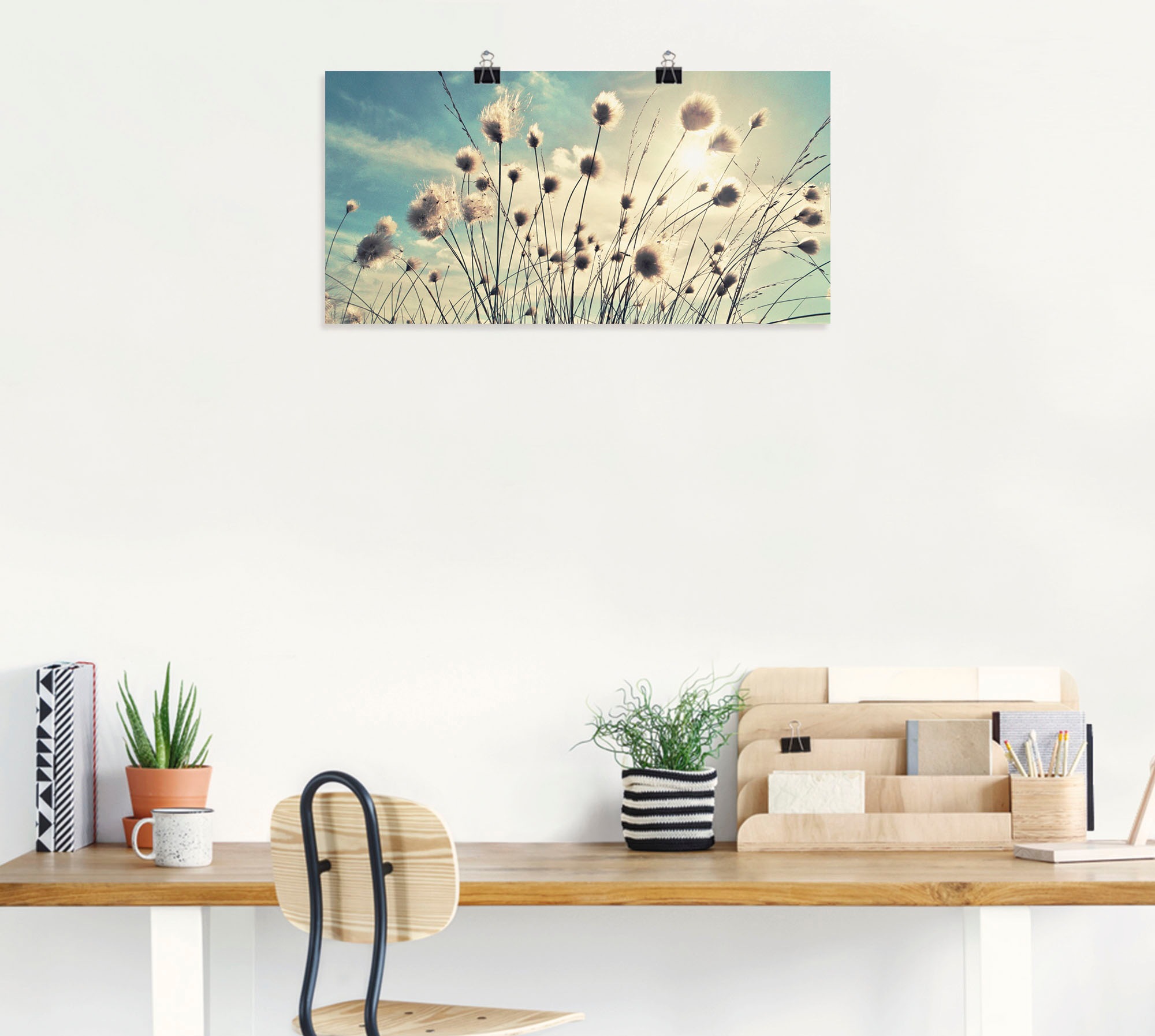 Artland Wandbild »Wollgras«, Gräser, (1 St.), als Alubild, Outdoorbild, Lei günstig online kaufen