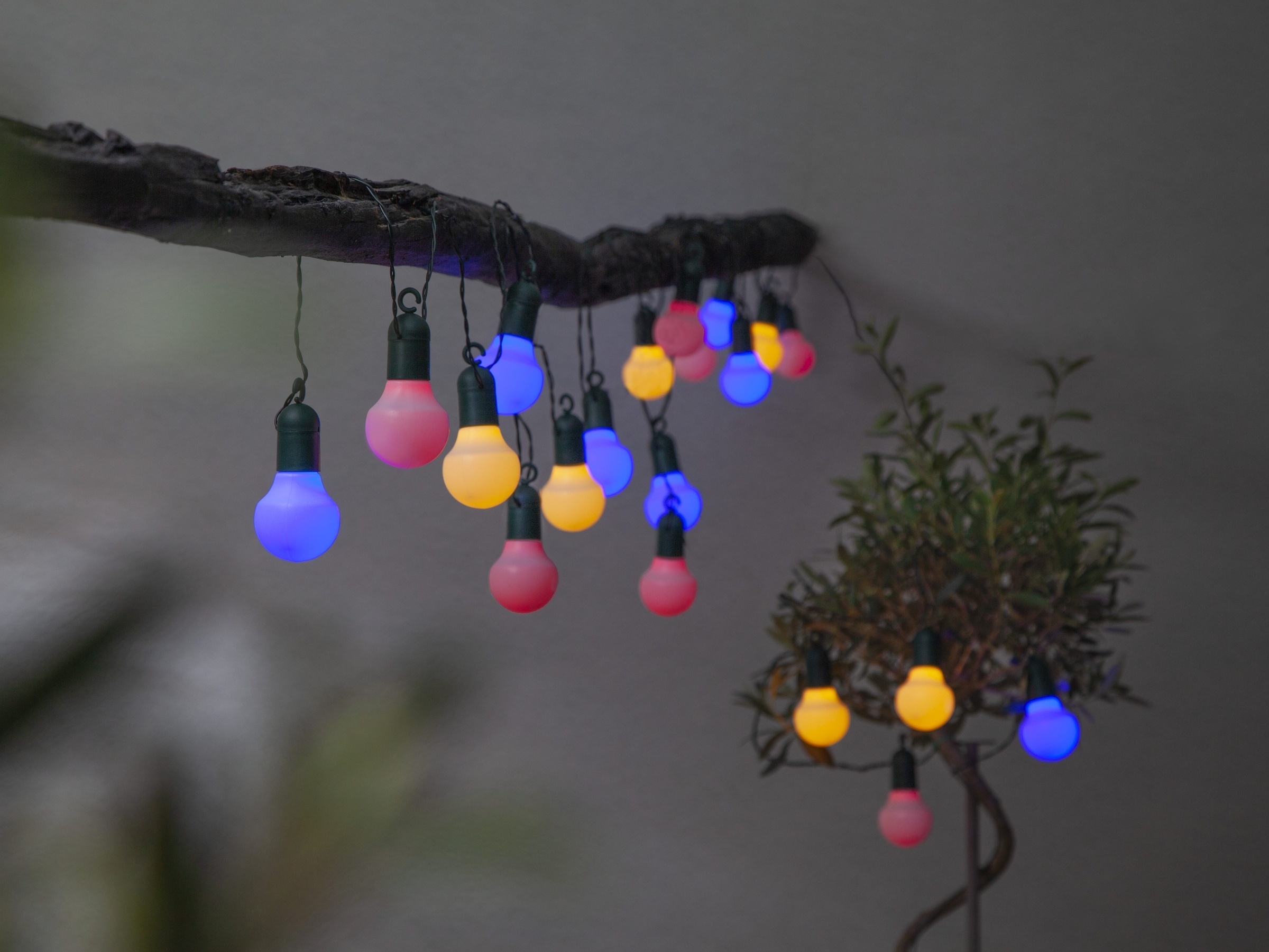 Parforce Traditional Hunting LED-Lichterkette »Hooky« 20 Stk.-flammig Länge ca. 5,7 m, 
outdoor, Vierfarb-Karton