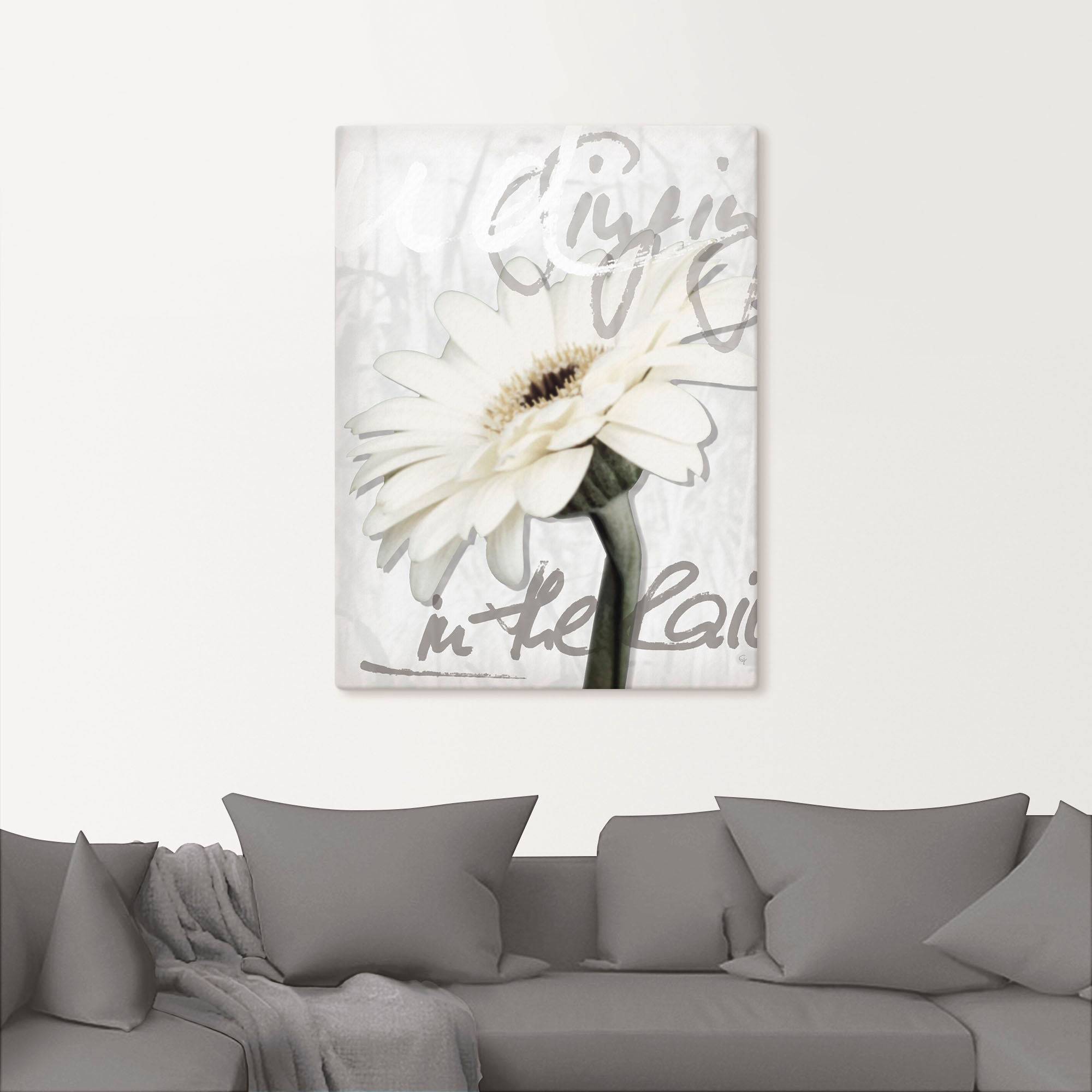 Artland Wandbild »Gerbera«, Blumenbilder, (1 St.), als Leinwandbild, Poster günstig online kaufen