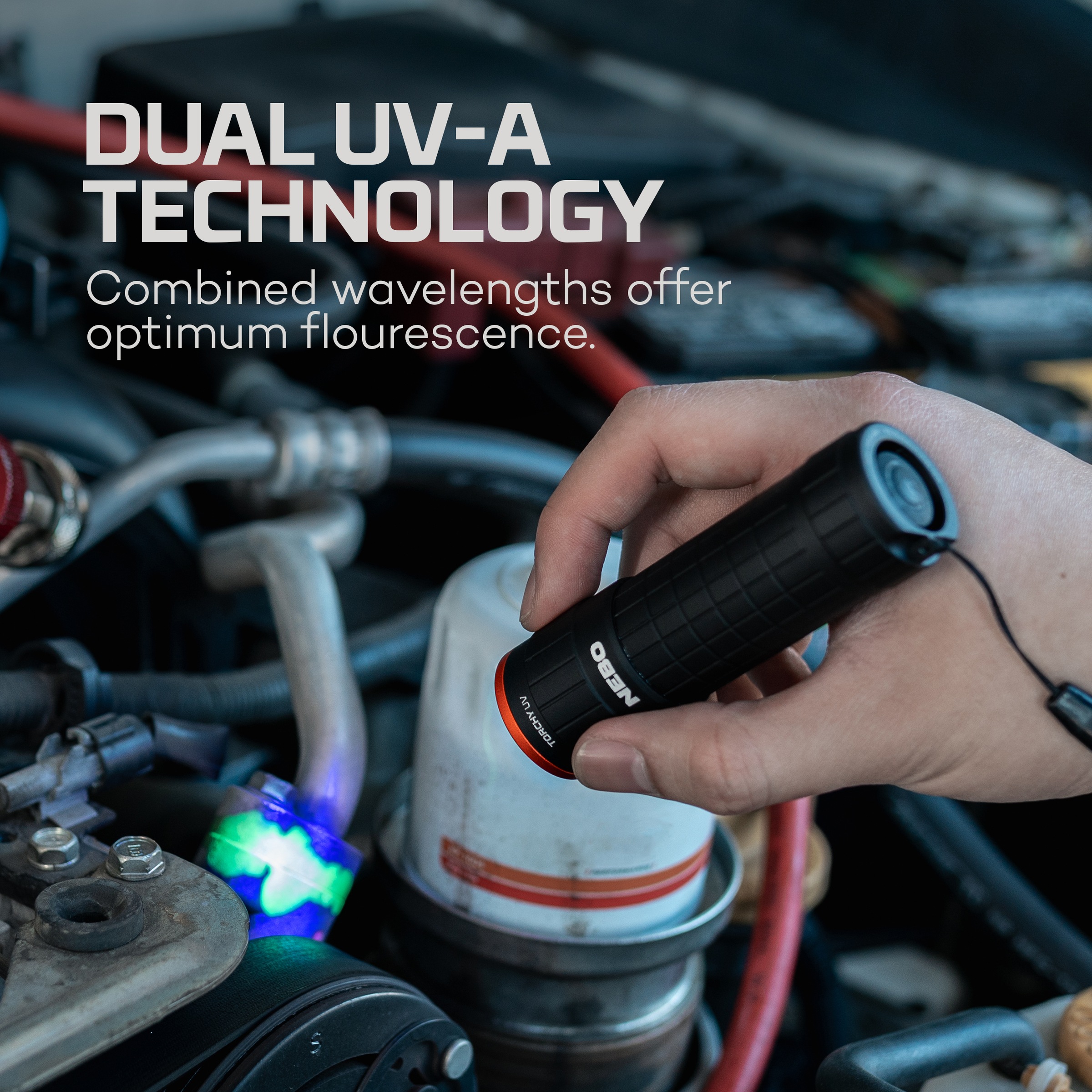 NEBO LED Taschenlampe »Nebo TORCHY UV Schwarz Licht« Set, Taschenlampe inkl. Batterien, 4 Stk. tlg. UV Licht mit 365nm und 395nm