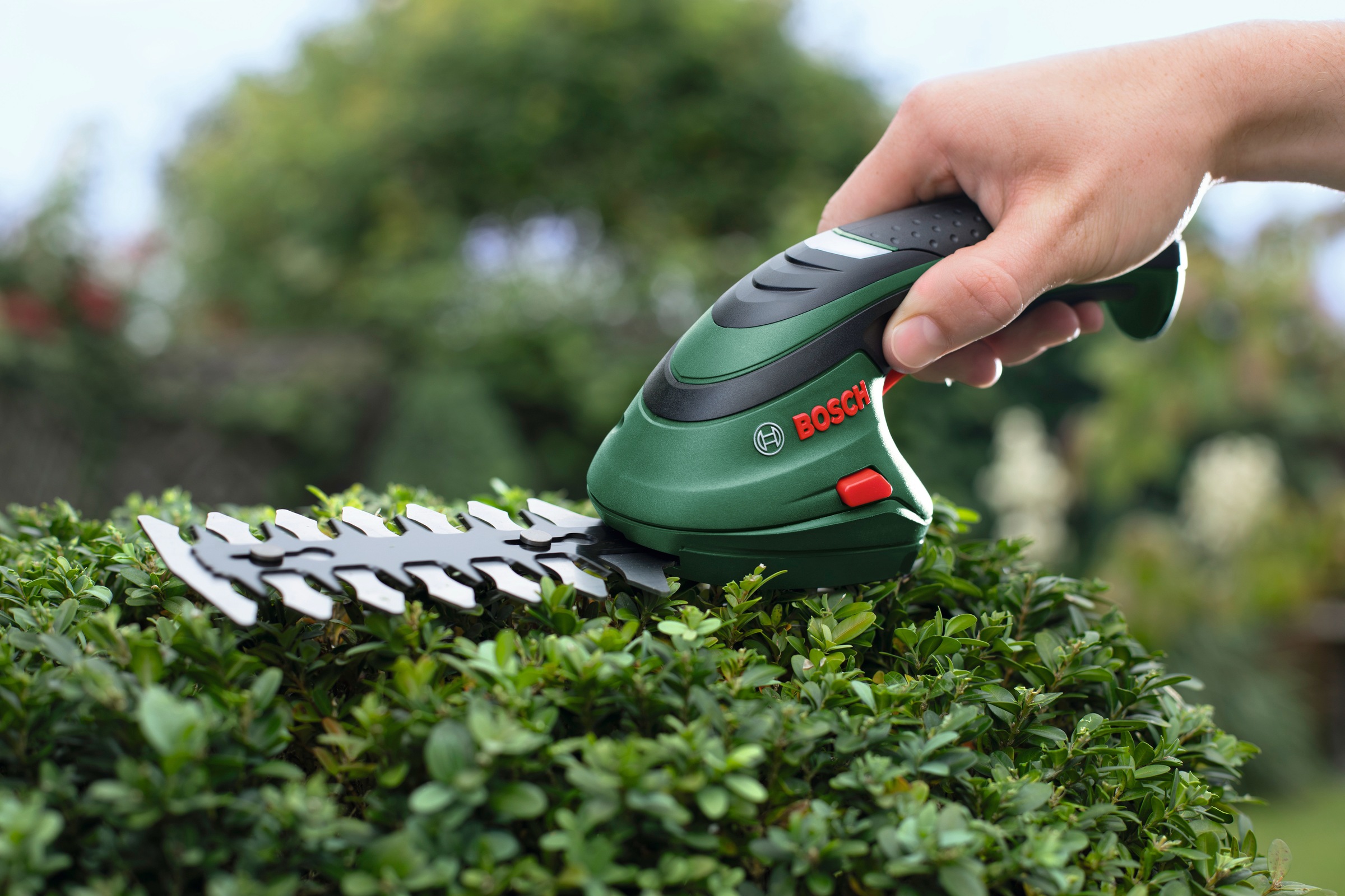Bosch Home & Garden Akku-Gras- und Strauchscherenset »Isio«, mit fest verbauten 3,6 V Akku