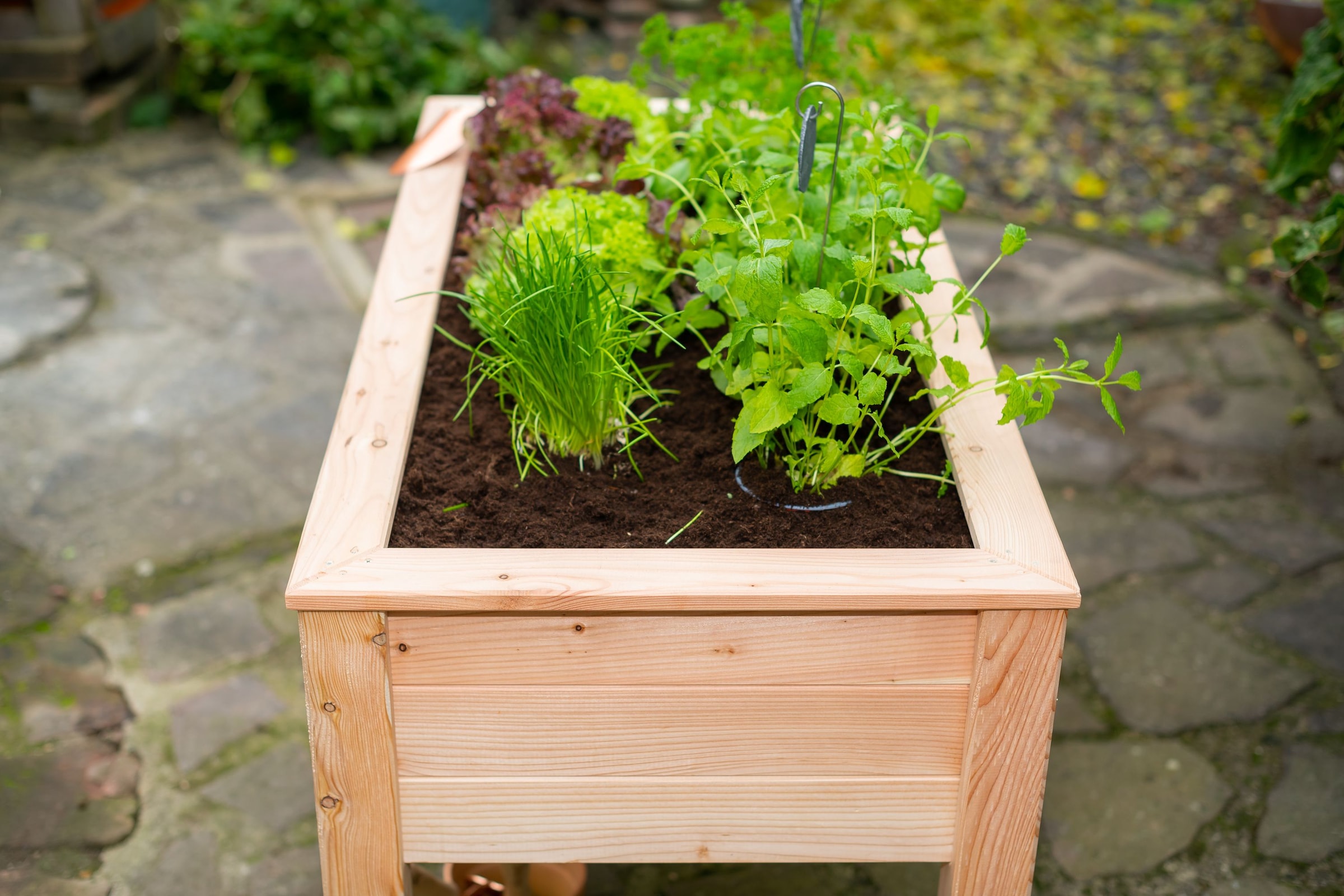 WESTMANN Hochbeet »Emily« 100 % FSC®-zertifiziertes Lärchenholz