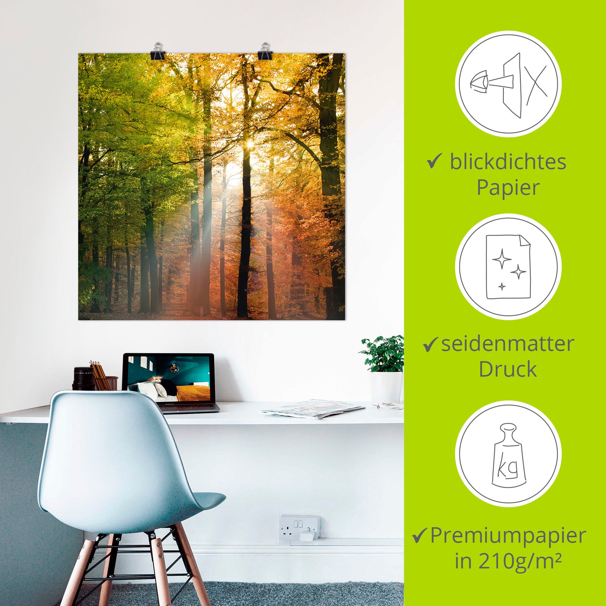 Artland Wandbild »Schöner Herbsttag 2«, Wald, (1 St.), als Alubild, Outdoorbild, Leinwandbild, Poster in verschied. Größen