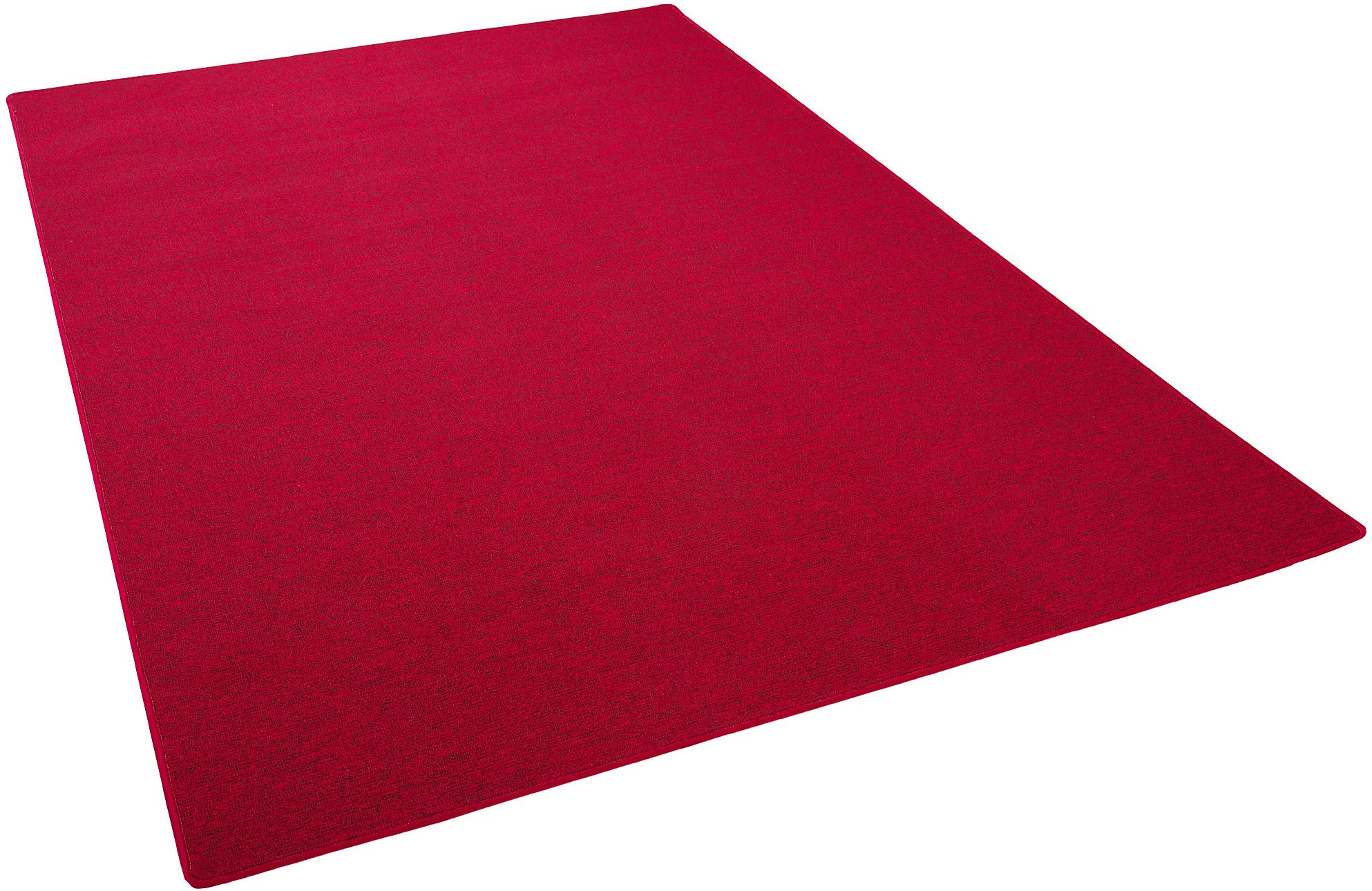 my home Teppich »Fortis, Schlinge, Made in Netherlands«, rechteckig, 5 mm H günstig online kaufen