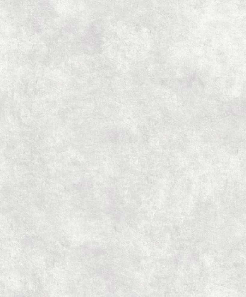 Superfresco Easy Vliestapete »Beton« Steinoptik glatt Hellgrau - 10mx53cm günstig online kaufen