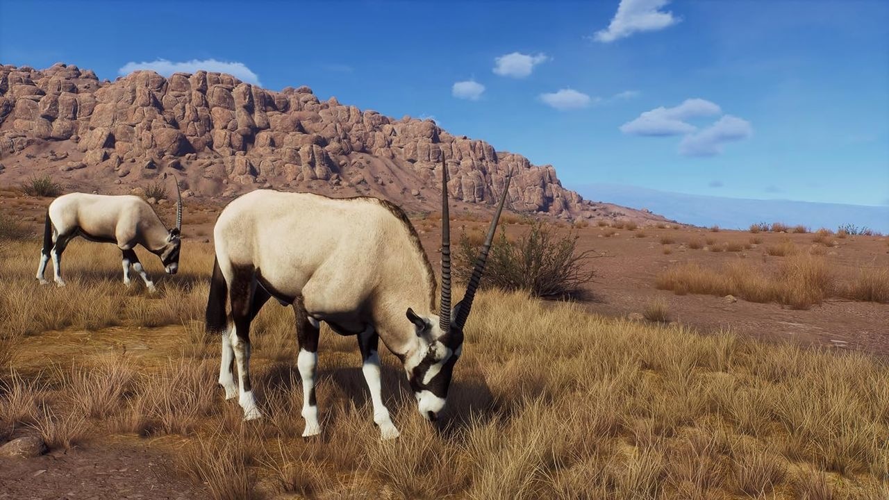 THQ Nordic Spielesoftware »Way of the Hunter - Hunting Season One«, PlayStation 5