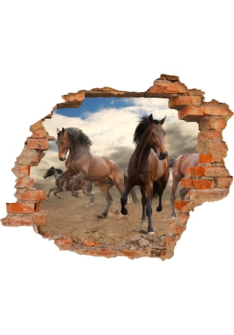 Conni Oberkircher´s Wandsticker »Horses - Pferde«, selbstklebend, Reiten kaufen
