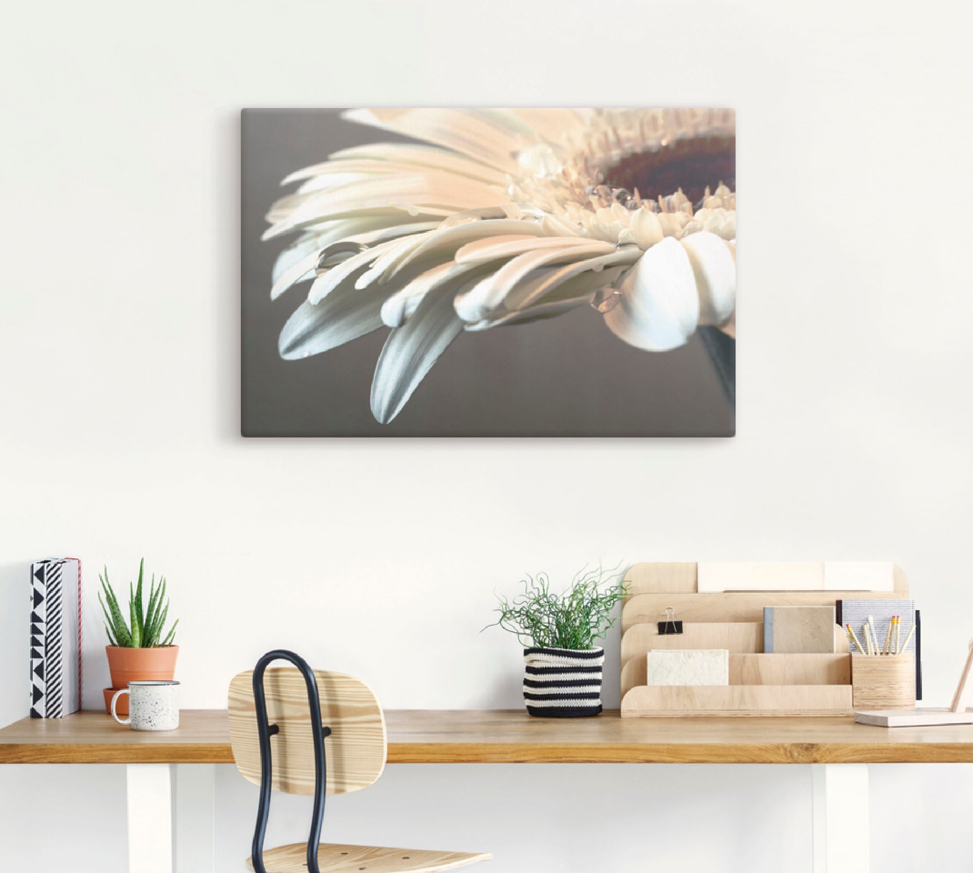 Artland Wandbild »Blüte einer Gerbera«, Blumen, (1 St.), als Leinwandbild, Poster, Wandaufkleber in verschied. Größen