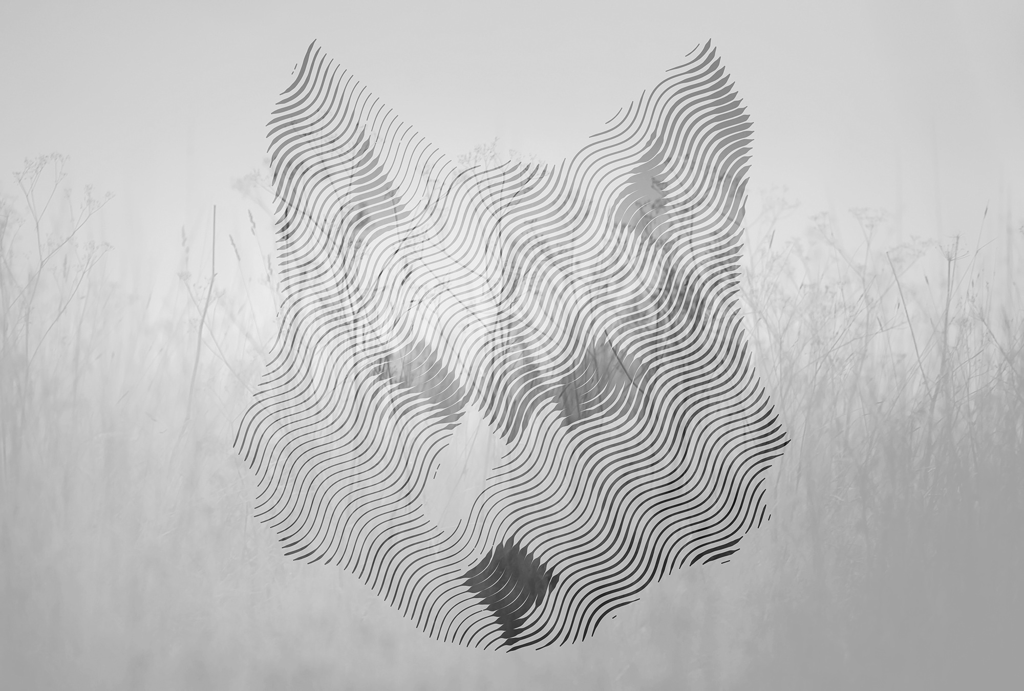 Architects Paper Fototapete »Atelier 47 Fox Graphic 2« abstrakt glatt Vlies günstig online kaufen