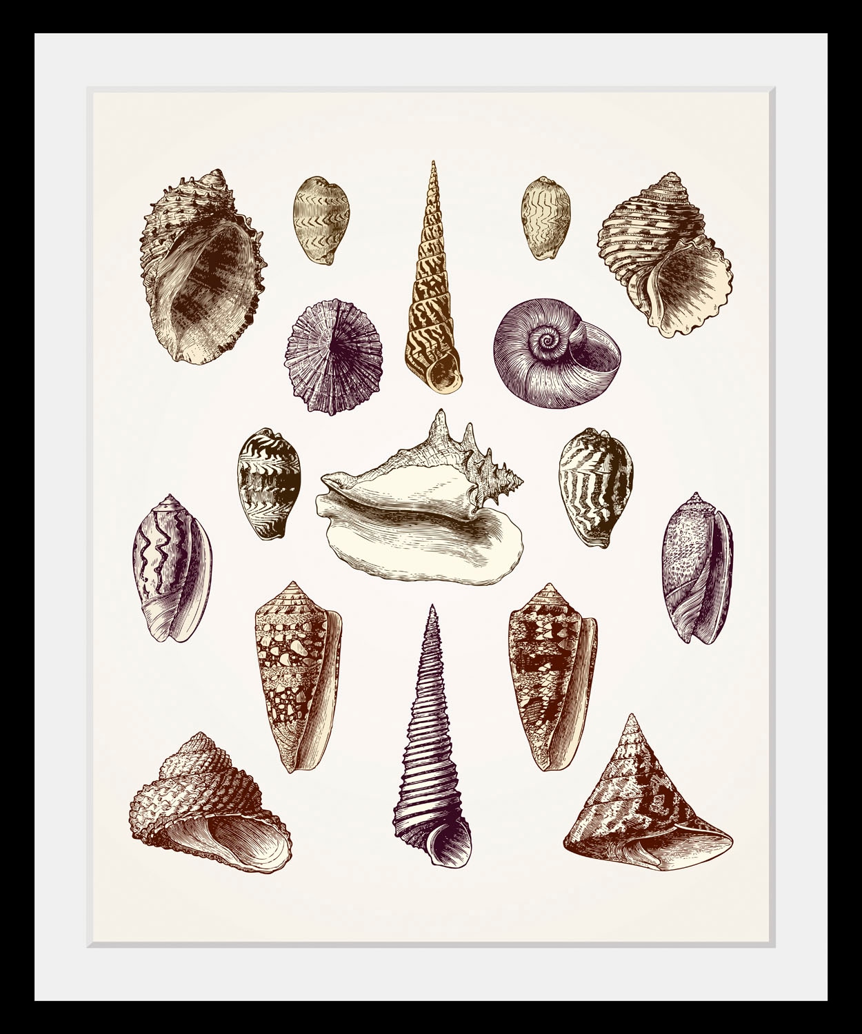 queence Bild »Karl« Kunst | Meer | Wassertiere 1 Stk. tlg. HD Premium Poster-Druck inkl. Holzrahmen