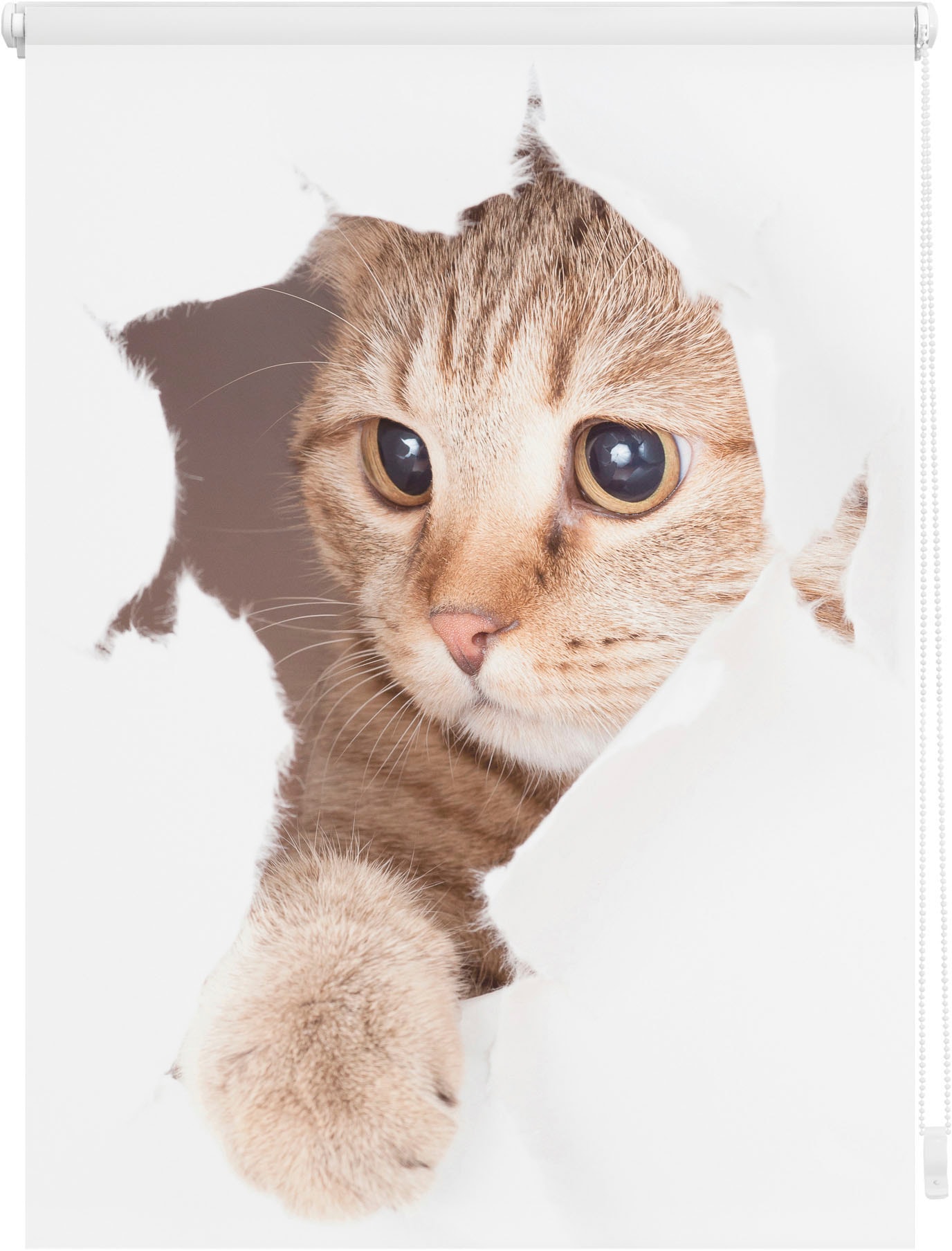 LICHTBLICK ORIGINAL Seitenzugrollo »Klemmfix Digital Katze«, verdunkelnd, energiesparend, ohne Bohren, freihängend, bedruckt