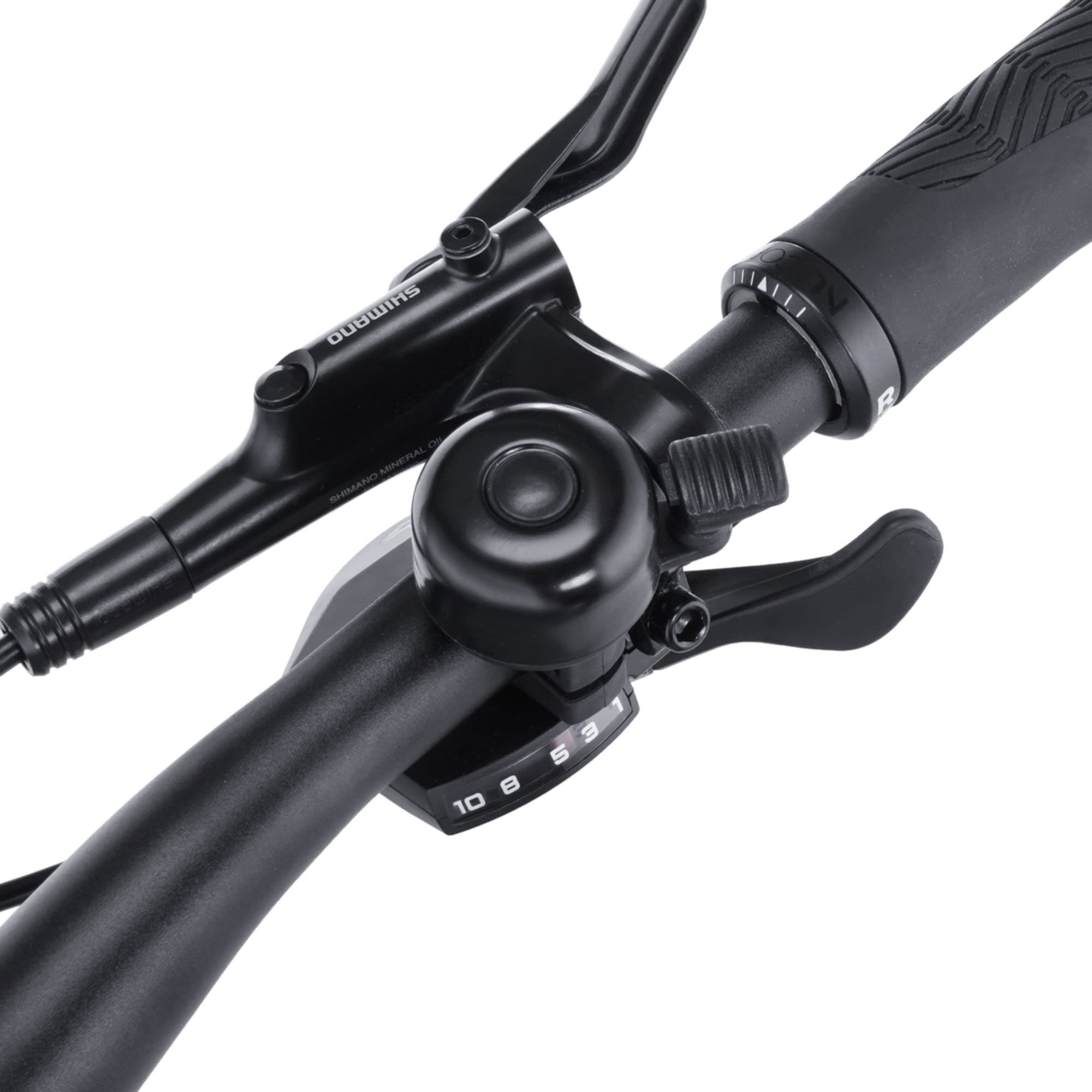 FISCHER Fahrrad E-Bike, 10 Gang, Shimano, CUES, (mit Akku-Ladegerät-mit Werkzeug)