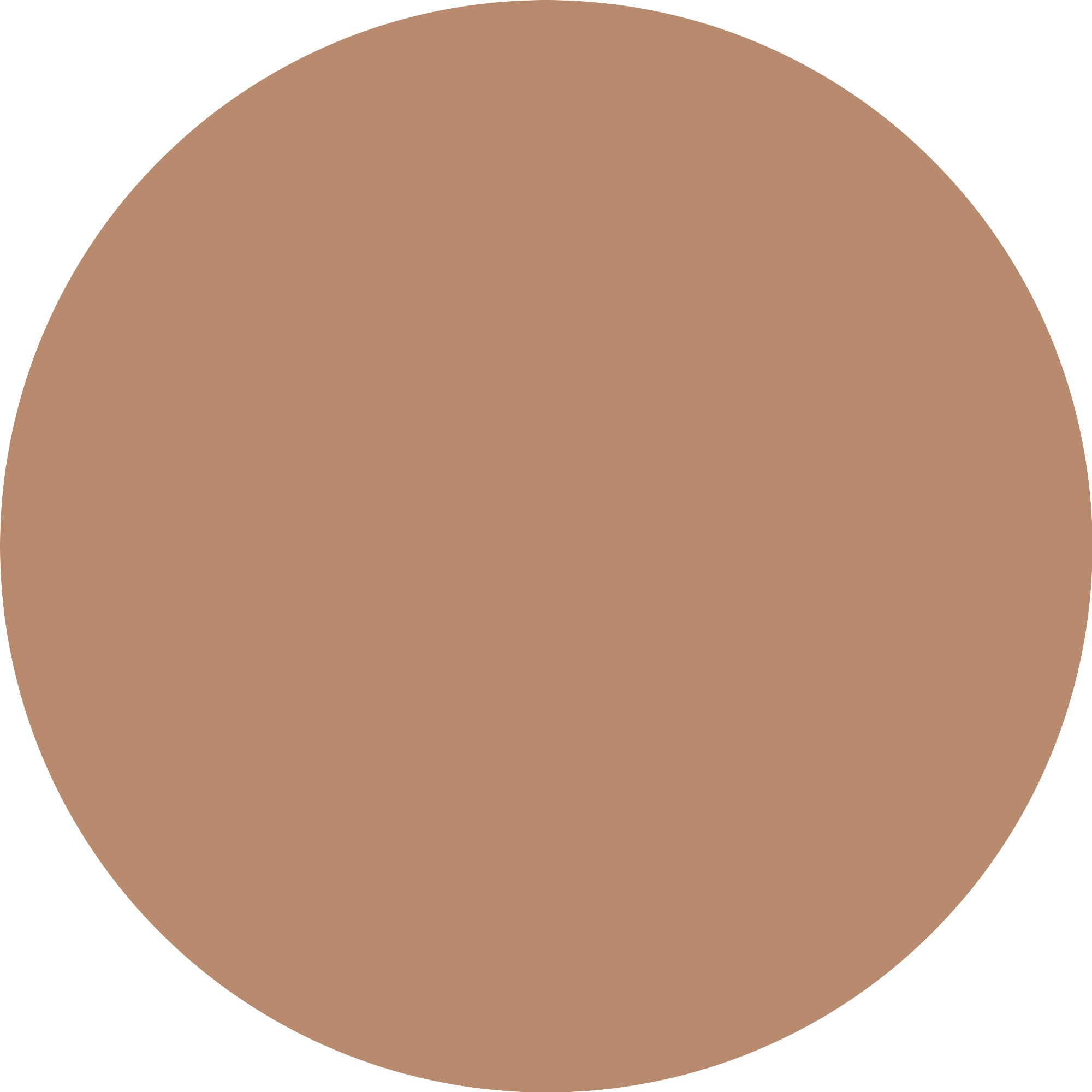 Essence Foundation »Silky BLUR HYDRATING LONGWEAR FOUNDATION«