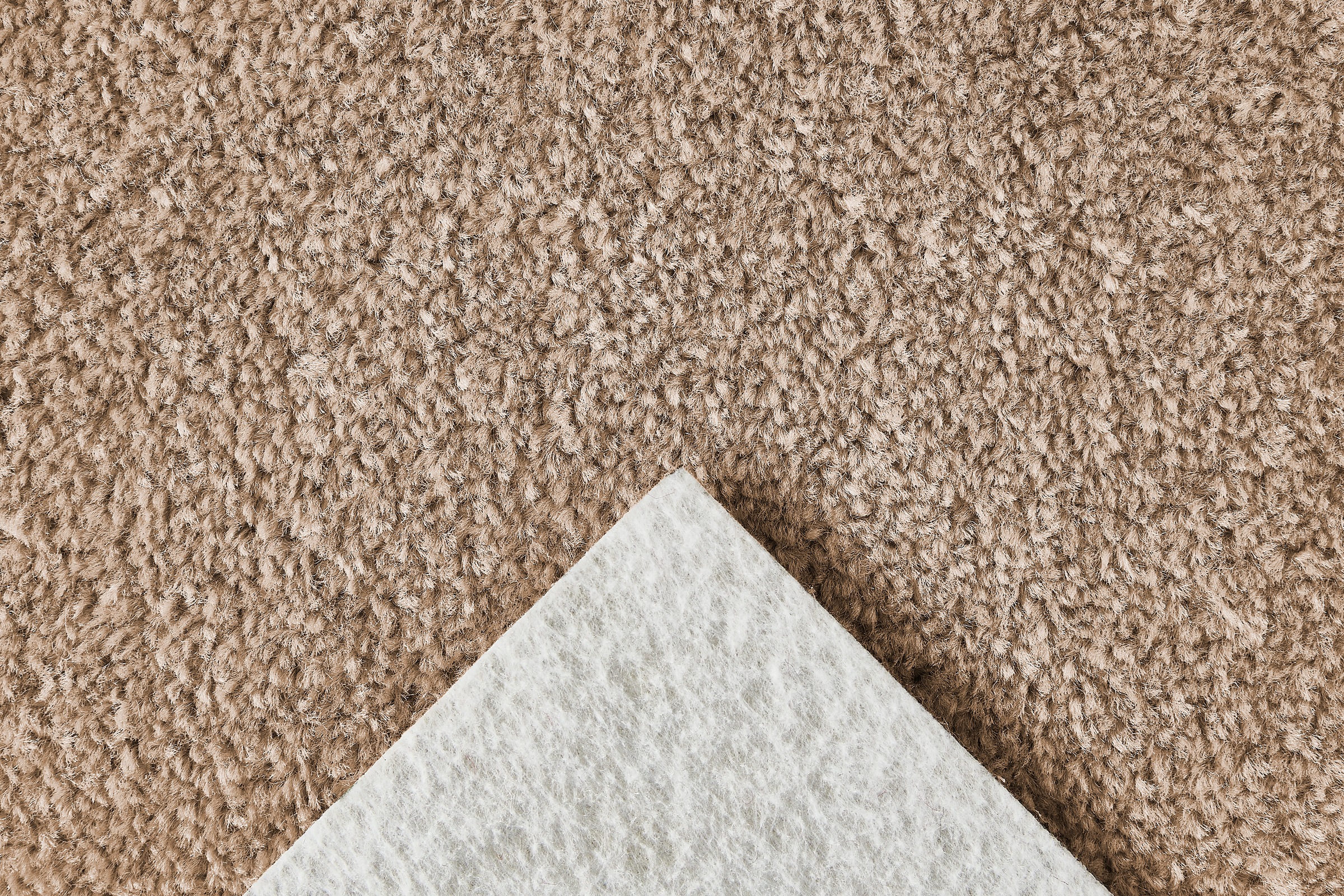 my home Teppichboden »Isabella, Velours, Made in Netherlands«, rechteckig, günstig online kaufen