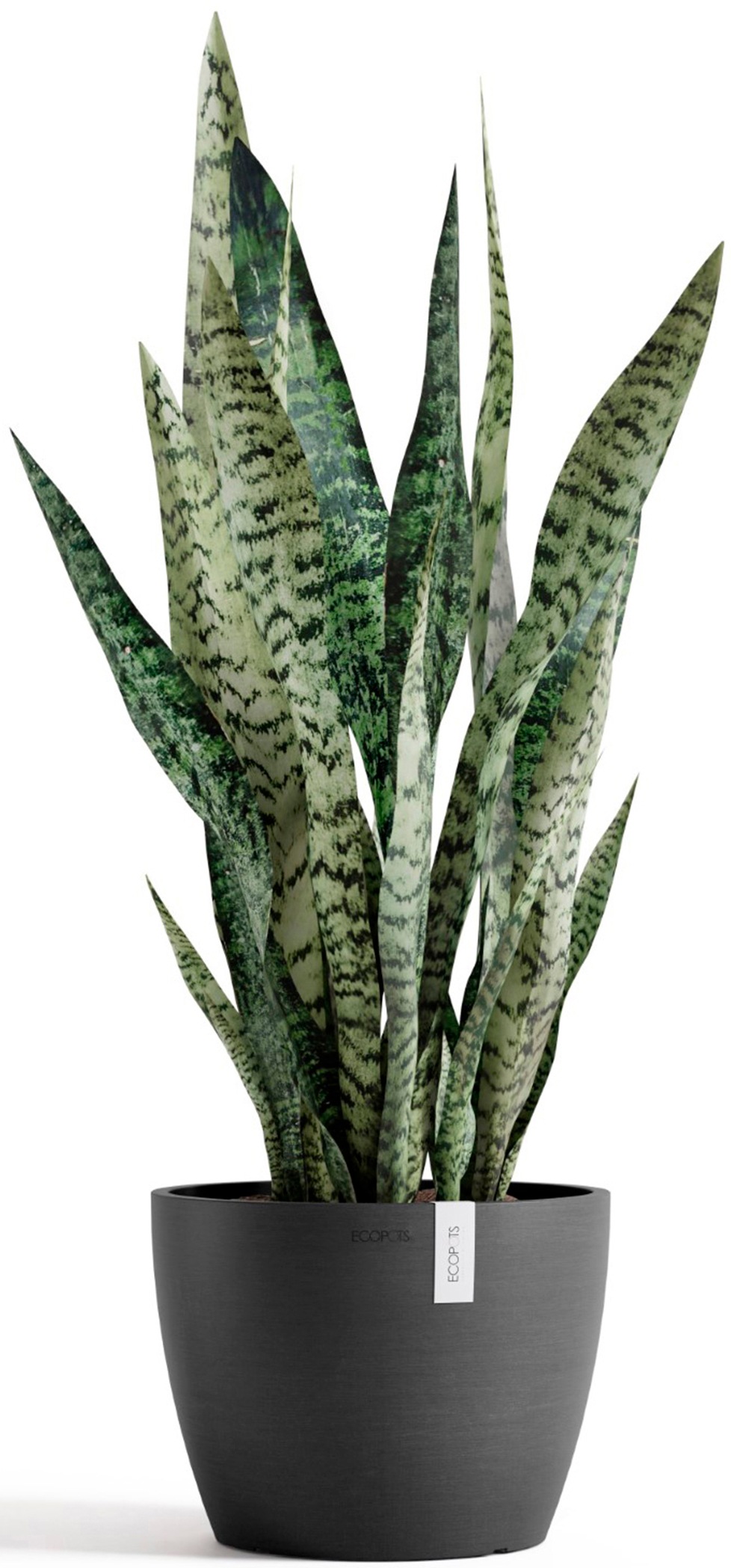 ECOPOTS Blumentopf »Stockholm 24 Dunkelgrau«, für innen und außen: frostsicher, bruchsicher und lichtbeständig