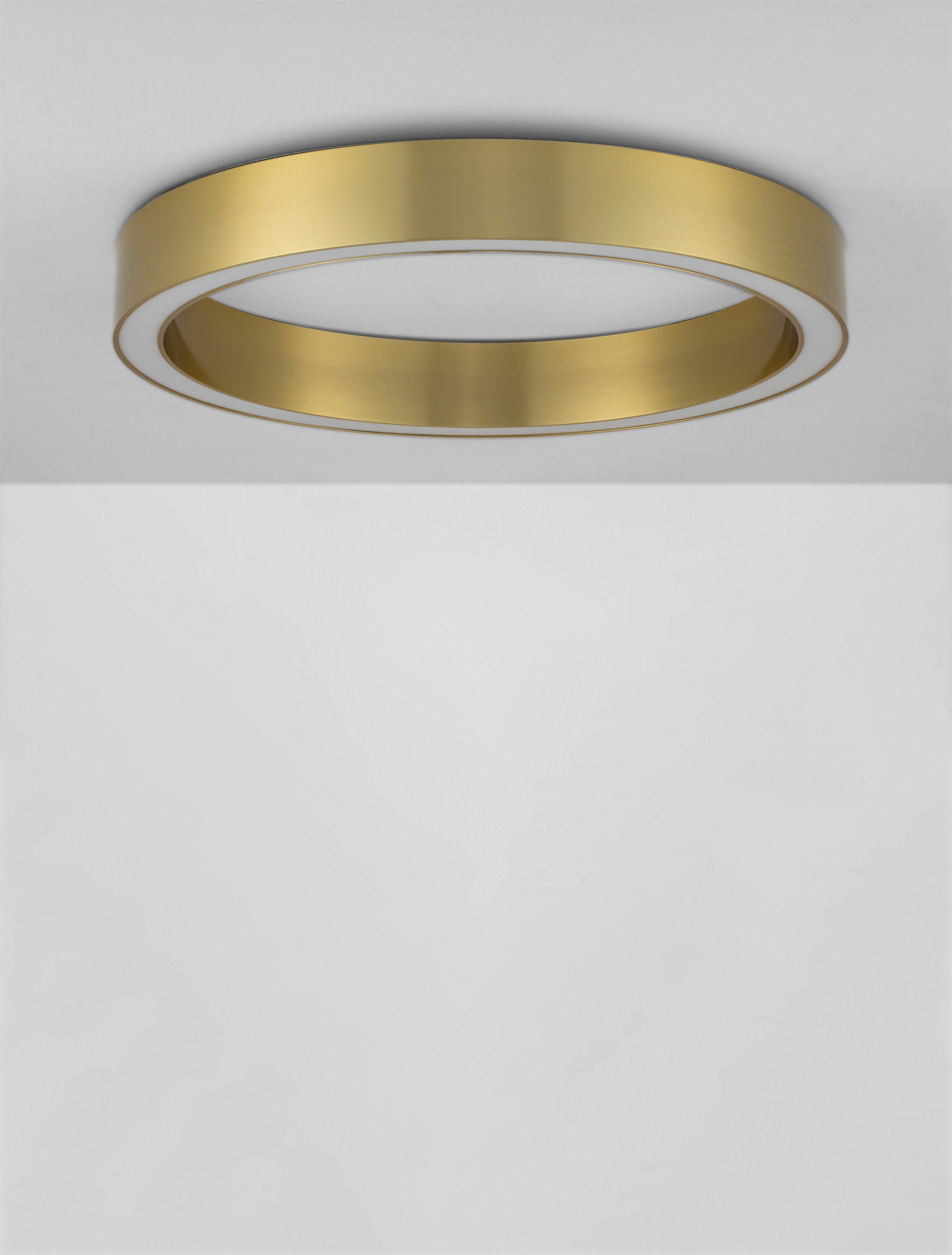 Nova Luce LED Deckenleuchte »STING« LED-Modul 1 Stk. Warmweiß günstig online kaufen