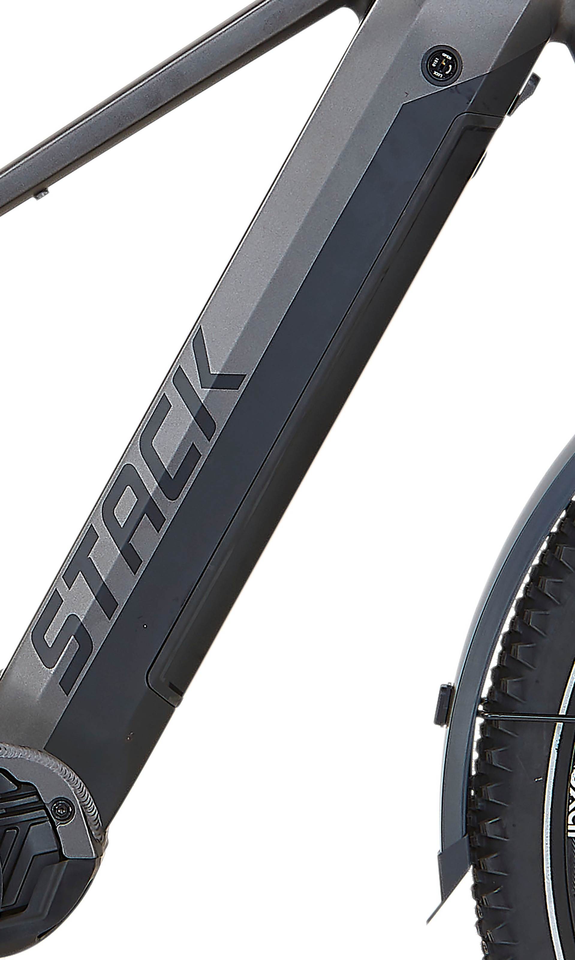 Prophete E-Bike »Stack 5.8«, 10 Gang, Shimano, Deore, Mittelmotor 250 W