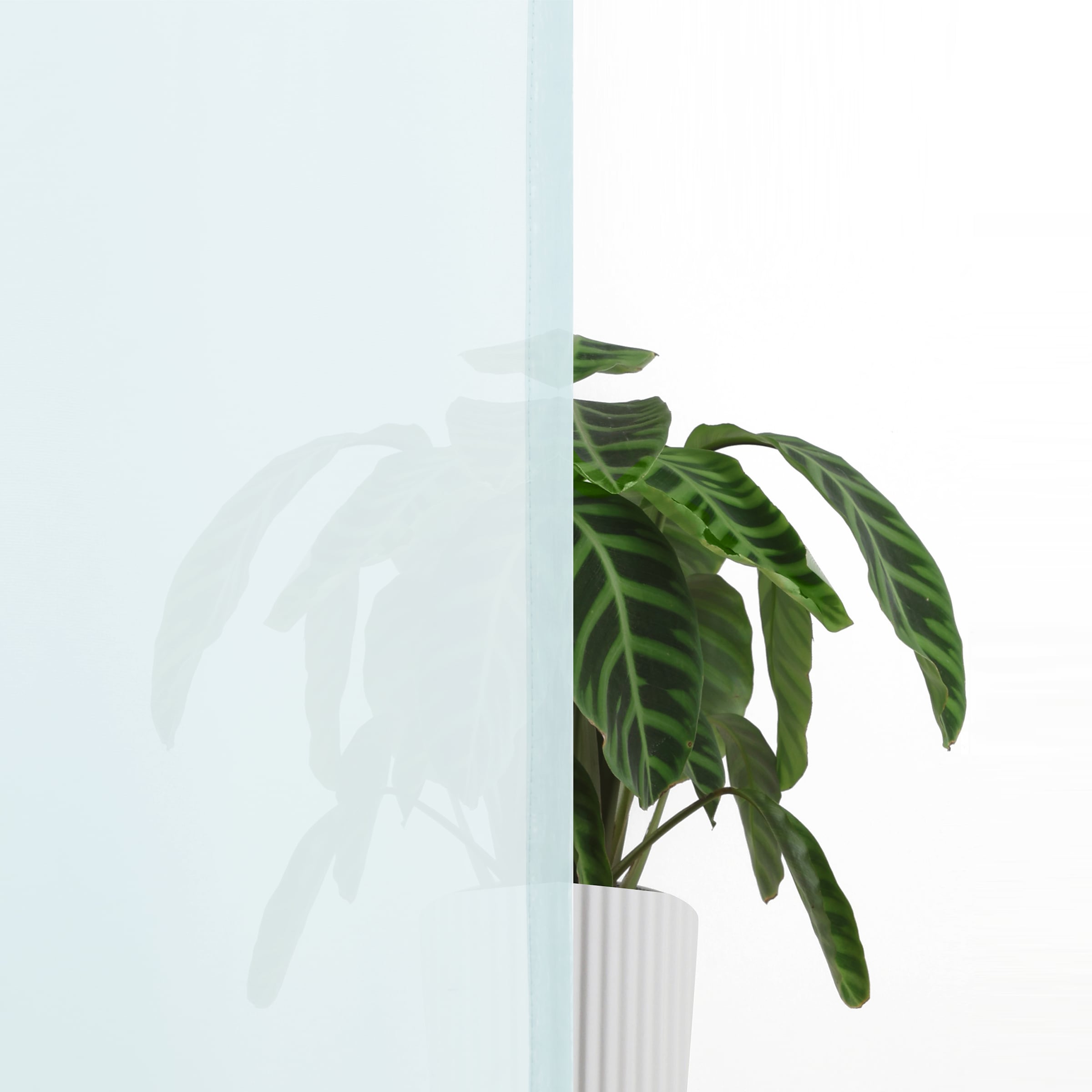 OTTO home Gardine »XANA« Schlaufen 1 Stk. tlg. Bestseller, einfarbig, 1 Schal, pflegeleicht, preiswert!