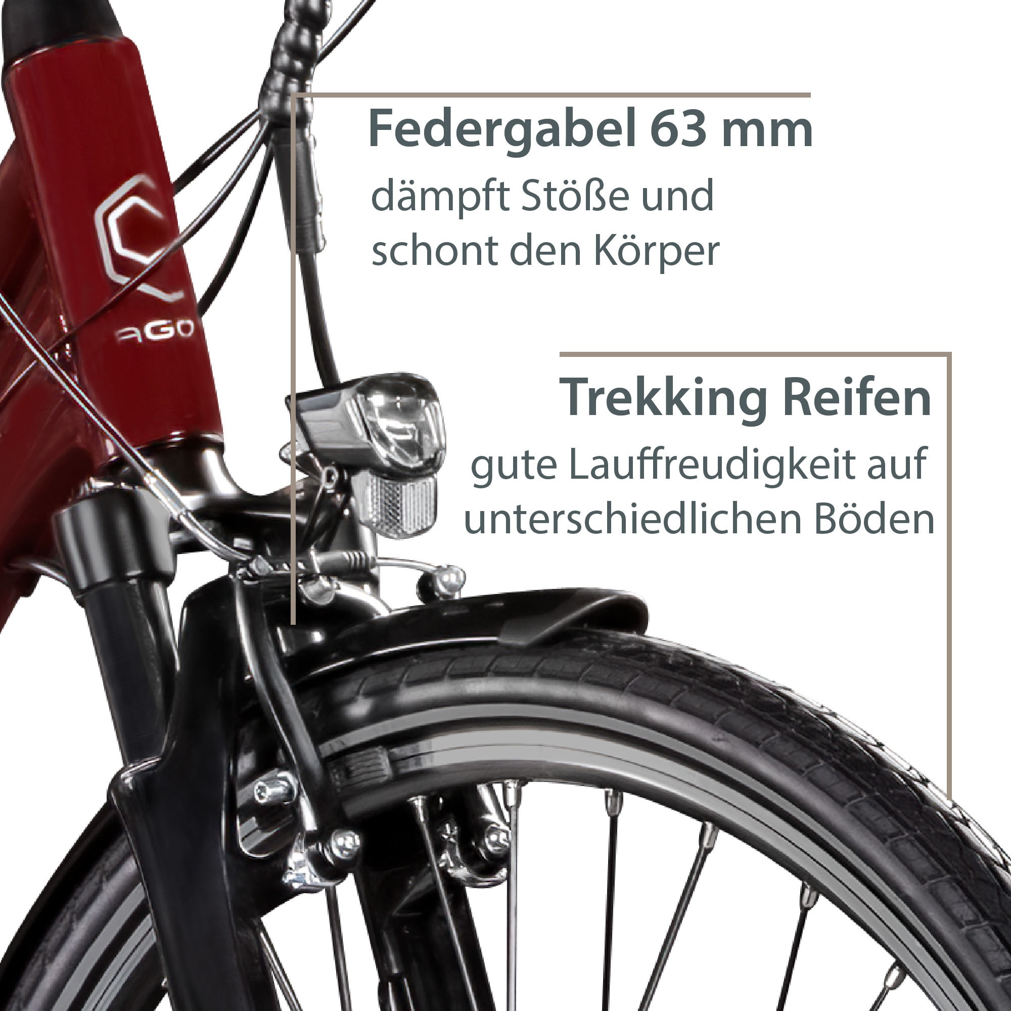 AGON E-Bike »Avesa«, 21 Gang, Heckmotor 250 W, Pedelec, Elektrofahrrad für Damen u. Herren