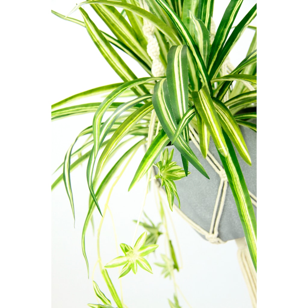 I.GE.A. Künstliche Zimmerpflanze »Wasserlilie«