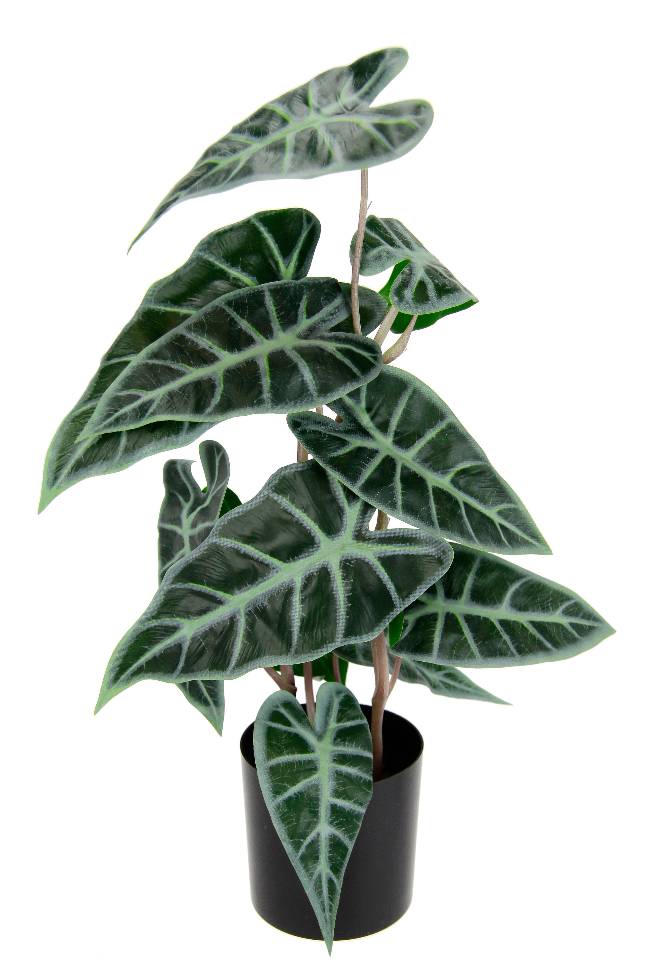 I.GE.A. Kunstpflanze »Calathea«, Kunst-Pflanze Seidenblumen ZimmerpflanzeZebrina Alocasia...