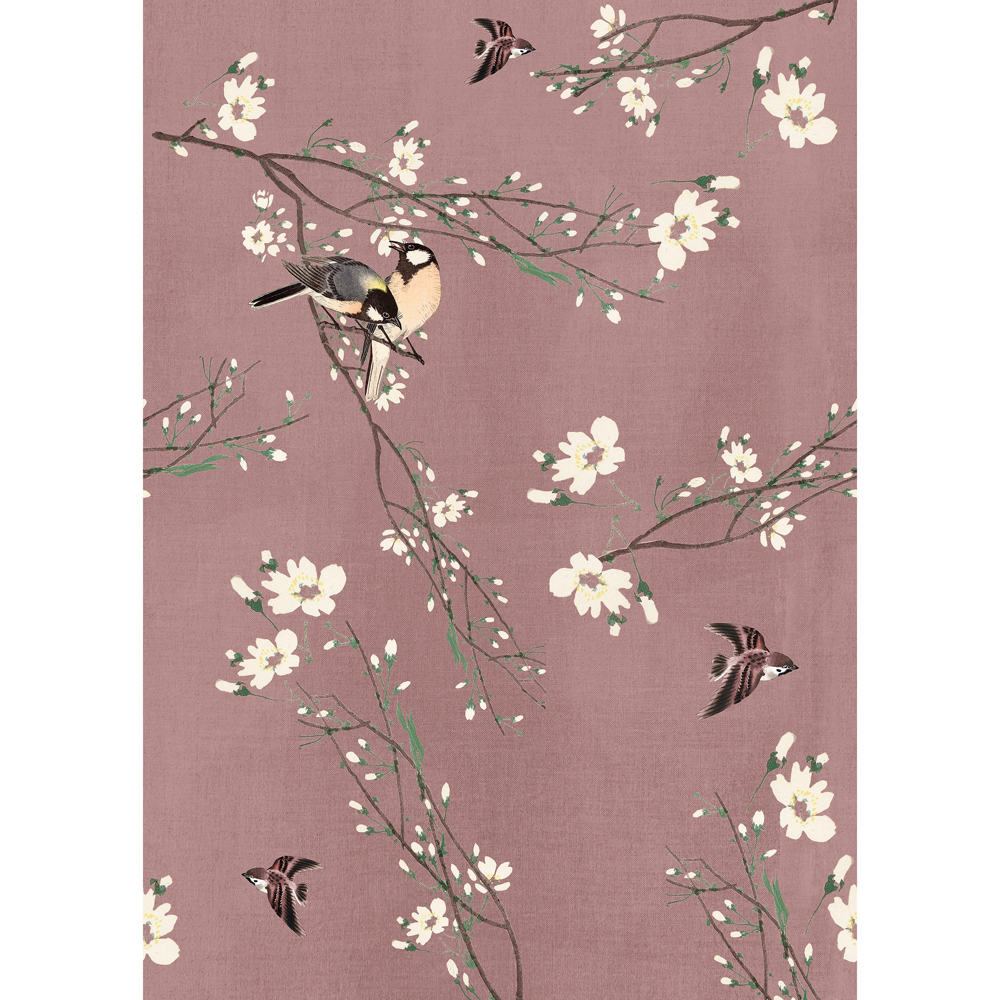 Art for the home Fototapete »Vögel & Blüten«, animal print, Design Tapeten günstig online kaufen