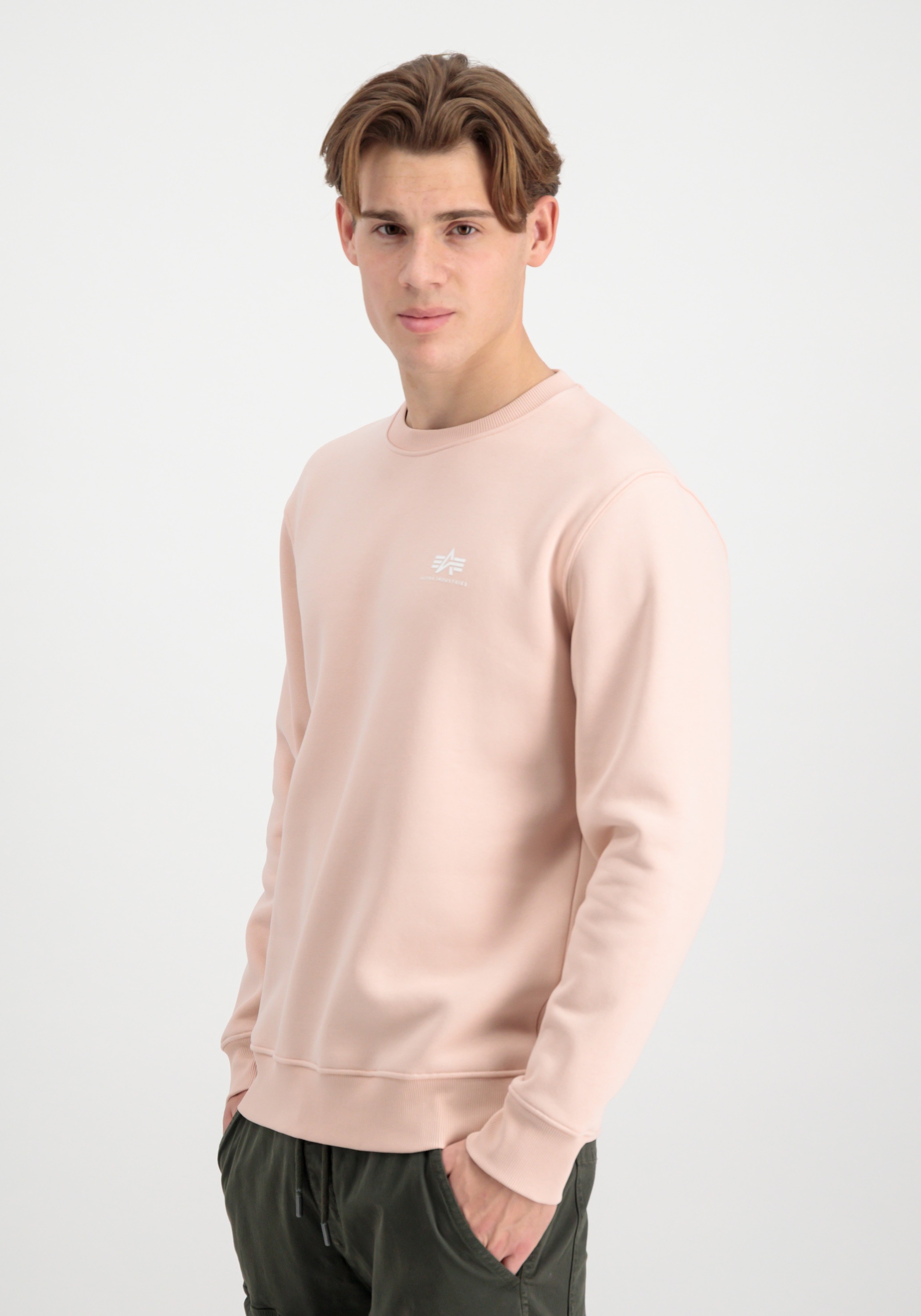 Alpha Industries Sweater »Alpha Industries Men - Sweatshirts Basic Sweater Small Logo«