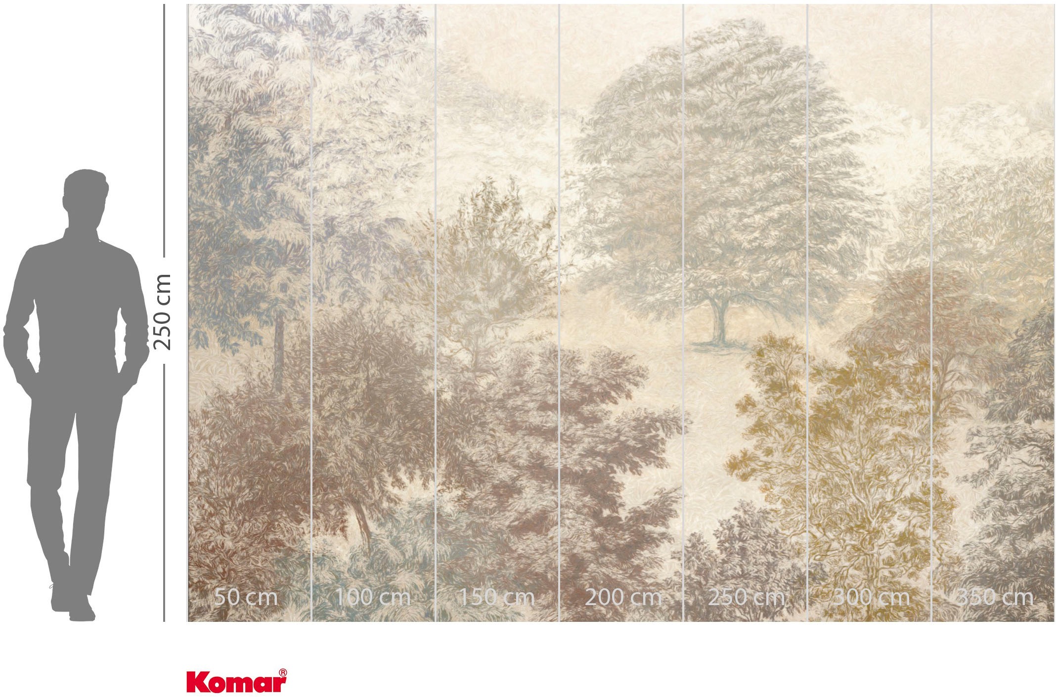 Komar Fototapete »Vlies Fototapete - Herbstwald - Größe 350 x 250 cm« Motiv | bedruckt glatt