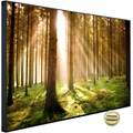Papermoon Infrarotheizung »EcoHeat - Autumn Pine Forest«, Aluminium, 600 W, 60 x 100 cm, mit Rahmen