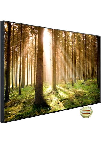 Papermoon Infrarotheizung »EcoHeat - Autumn Pine Forest«, Aluminium, 600 W, 60 x 100... kaufen