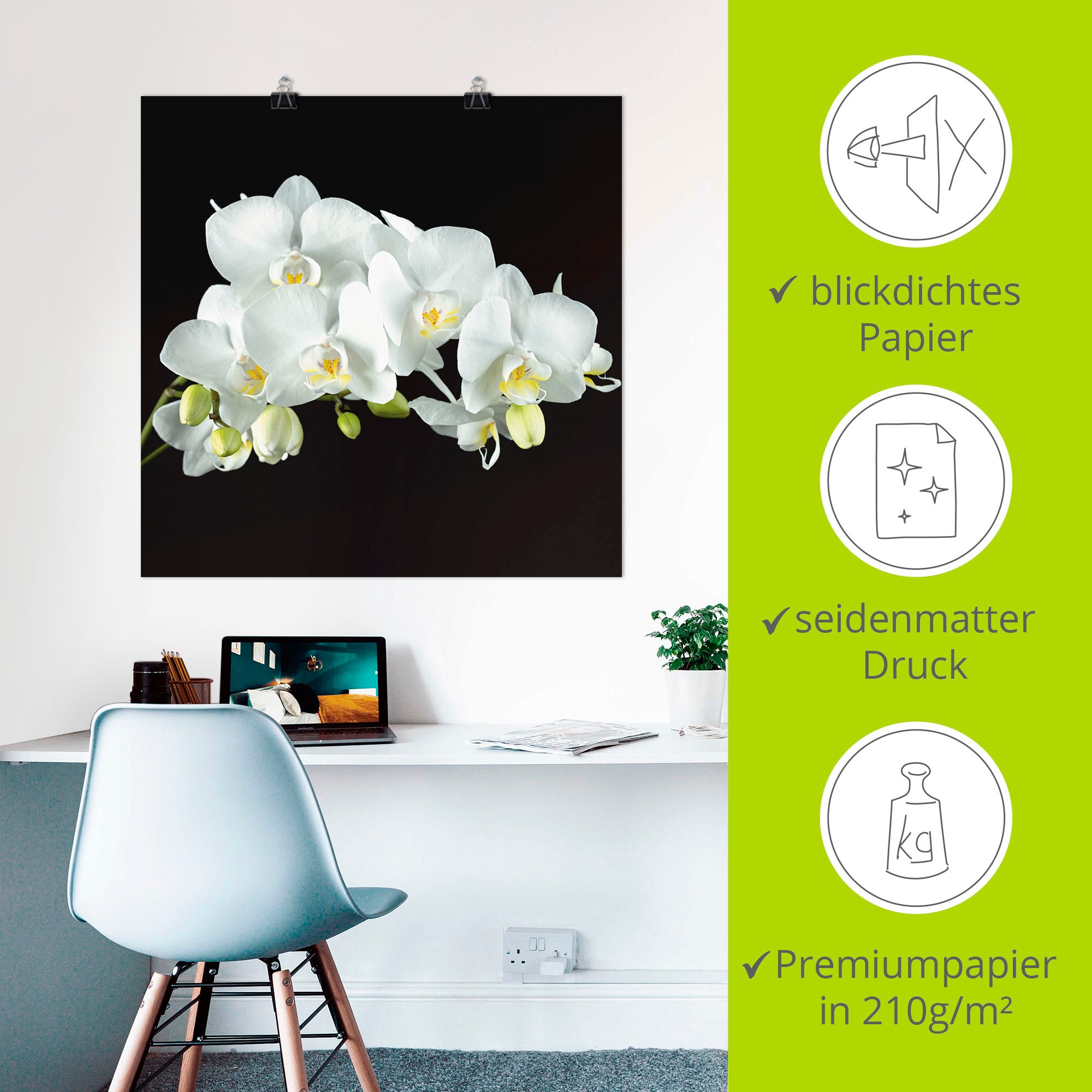 Artland Wandbild »Weiße Orchidee auf schwarzem Hintergrund«, Blumen, (1 St.), als Leinwandbild, Poster, Wandaufkleber in verschied. Größen