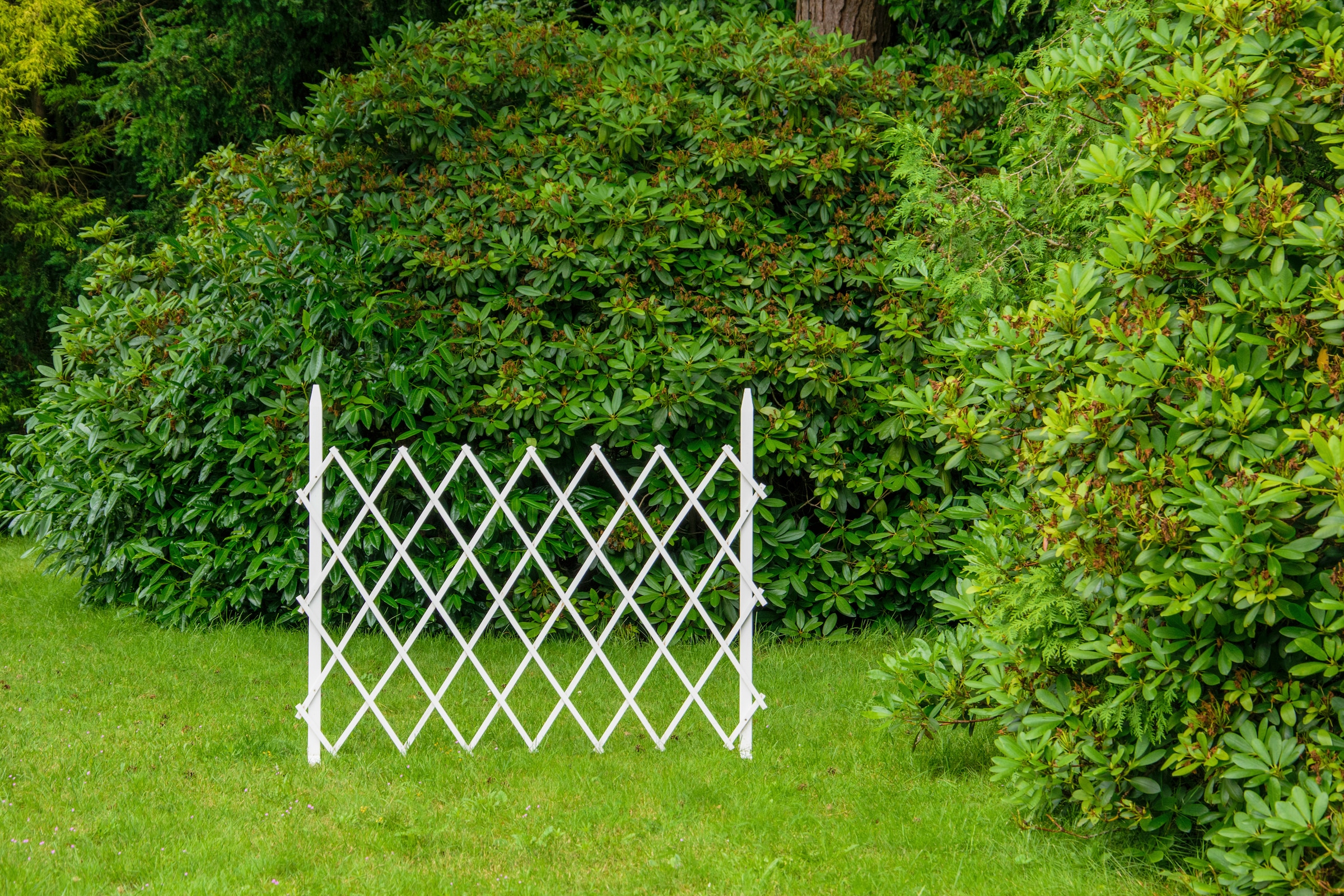 dobar Rankgitter »Gr. S« faltbar, BxTxH: 110x28x80 cm