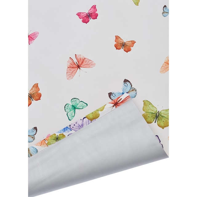 Home affaire Seitenzugrollo »Butterfly«, verdunkelnd, energiesparend, ohne  Bohren, freihängend, Hitzeschutz, Schmetterlinge, bunt, bedruckt,  Klemmträger bequem und schnell bestellen