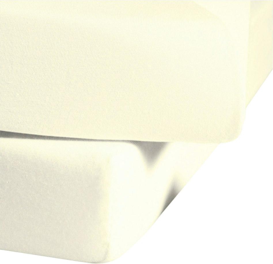 fleuresse Spannbettlaken "Comfort" langlebig & bügelfrei,Perfekte Passform günstig online kaufen
