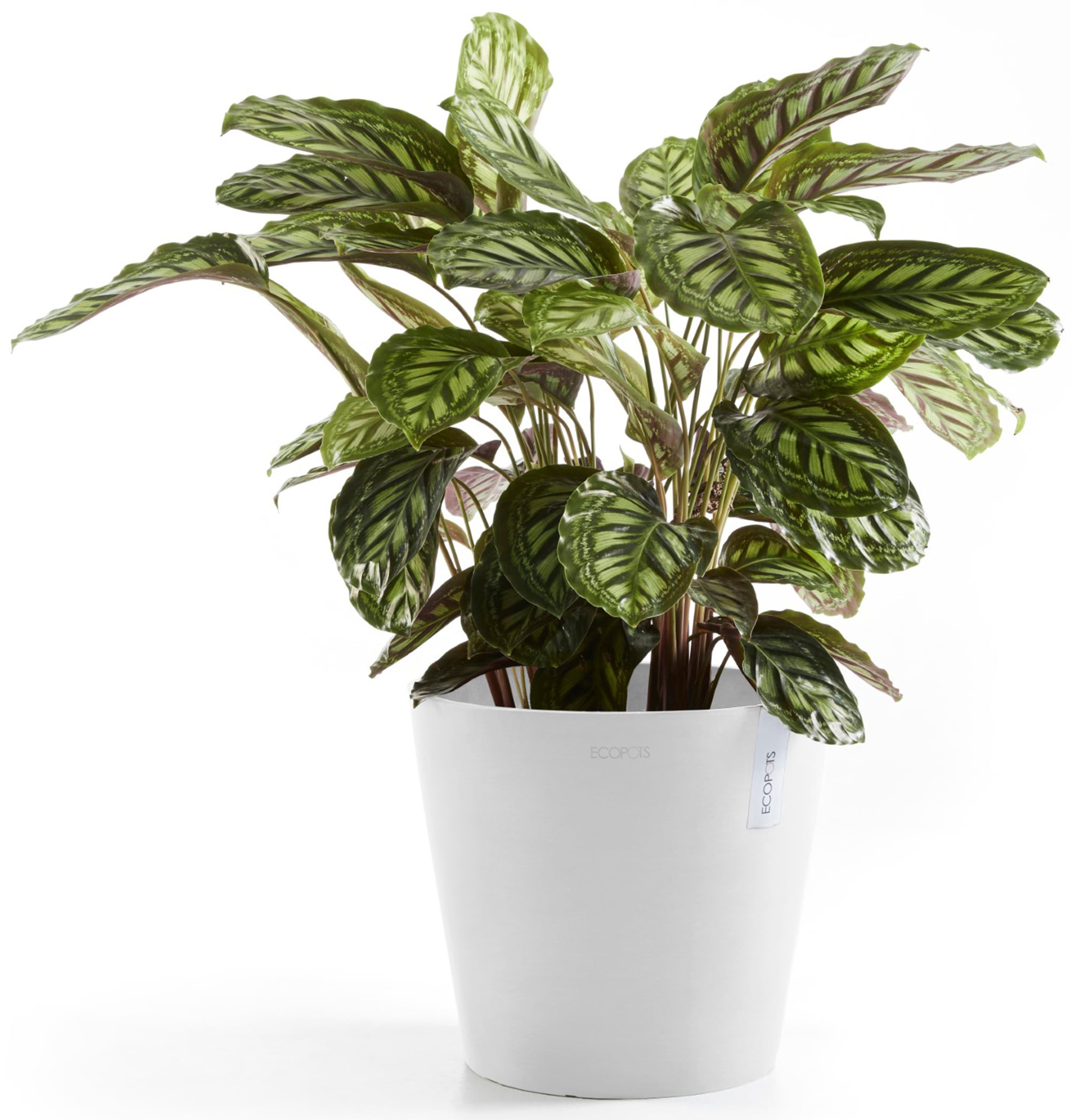 ECOPOTS Blumentopf »Amsterdam 30 + Wassersystem Weißgrau«, für innen und außen: frostsicher, bruchsicher und lichtbeständig