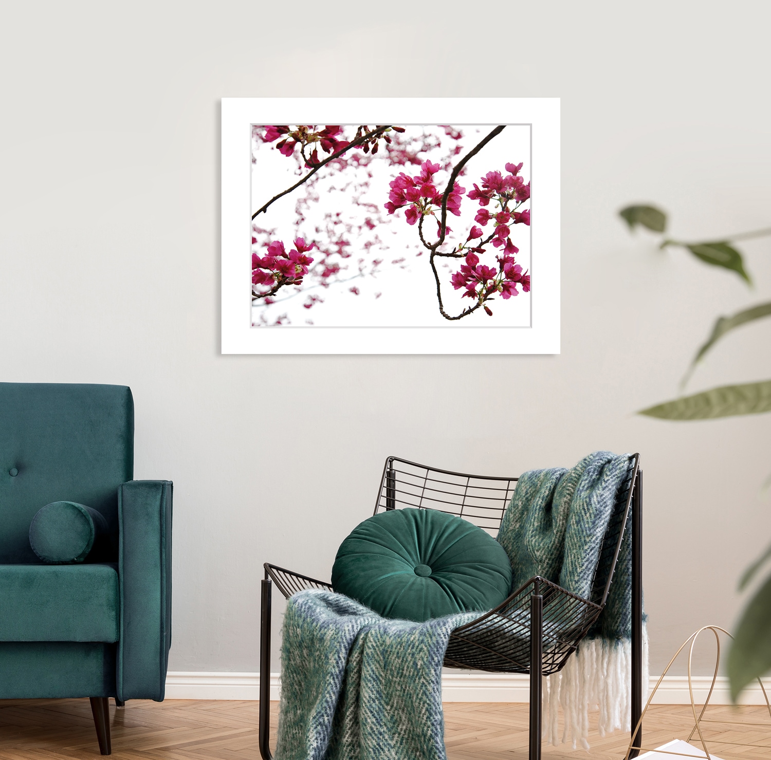 queence Bild »Roxanne«, Blumen, Rosen, gerahmt günstig online kaufen