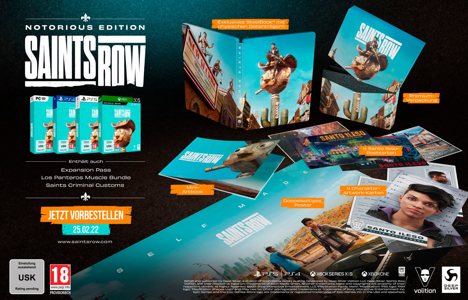 Deep Silver Spielesoftware »PC Saints Row Notorious Edition«, PC