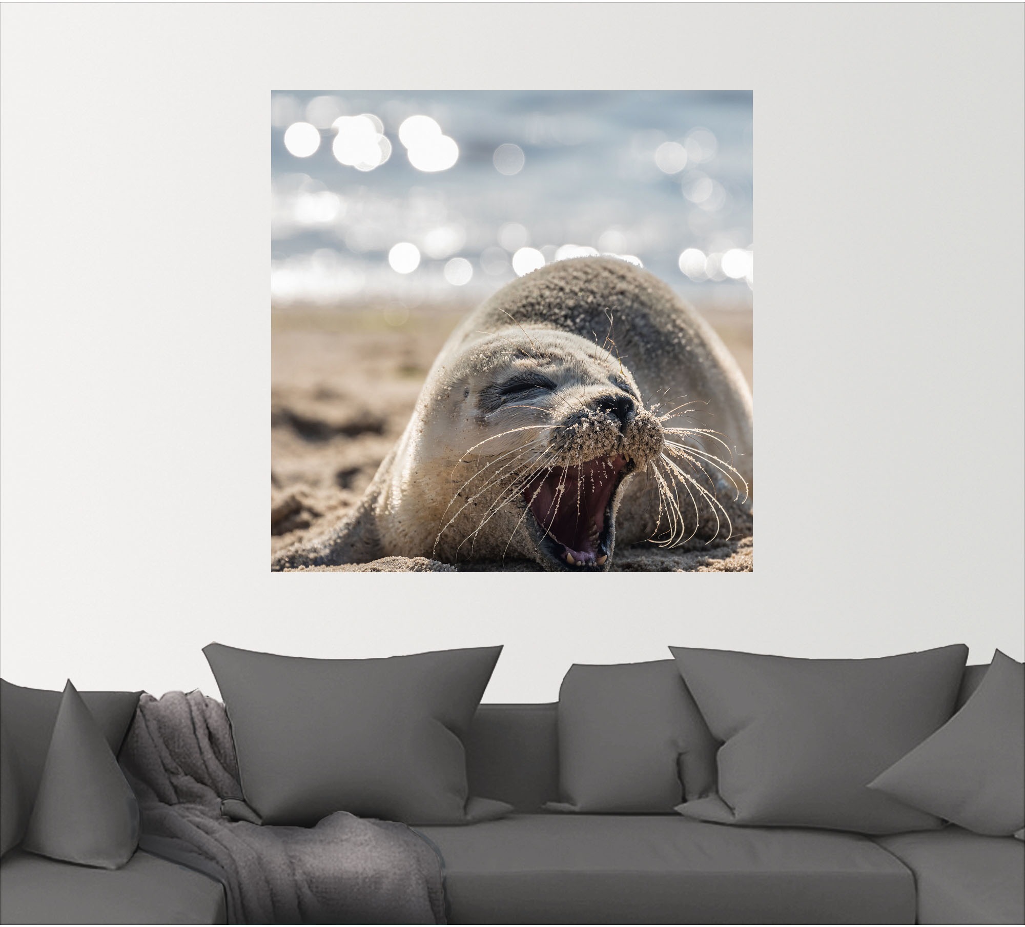 Artland Wandbild "Baby-Robbe am Strand von List, Sylt", Robben, (1 St.), al günstig online kaufen