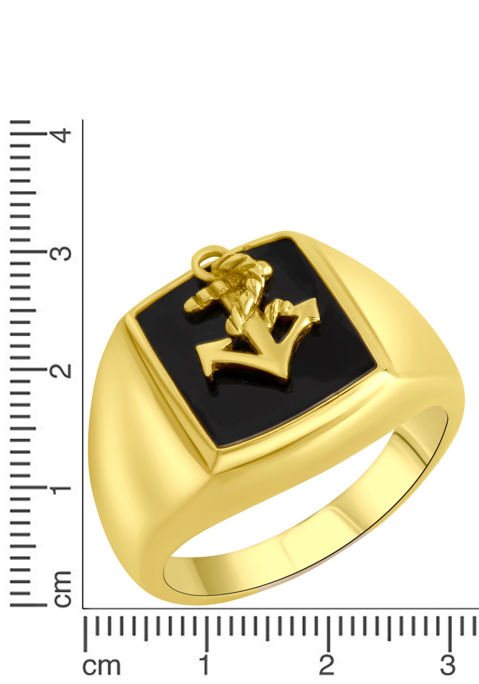 Firetti Fingerring »Schmuck Geschenk Silber 925 Silberring Anker«