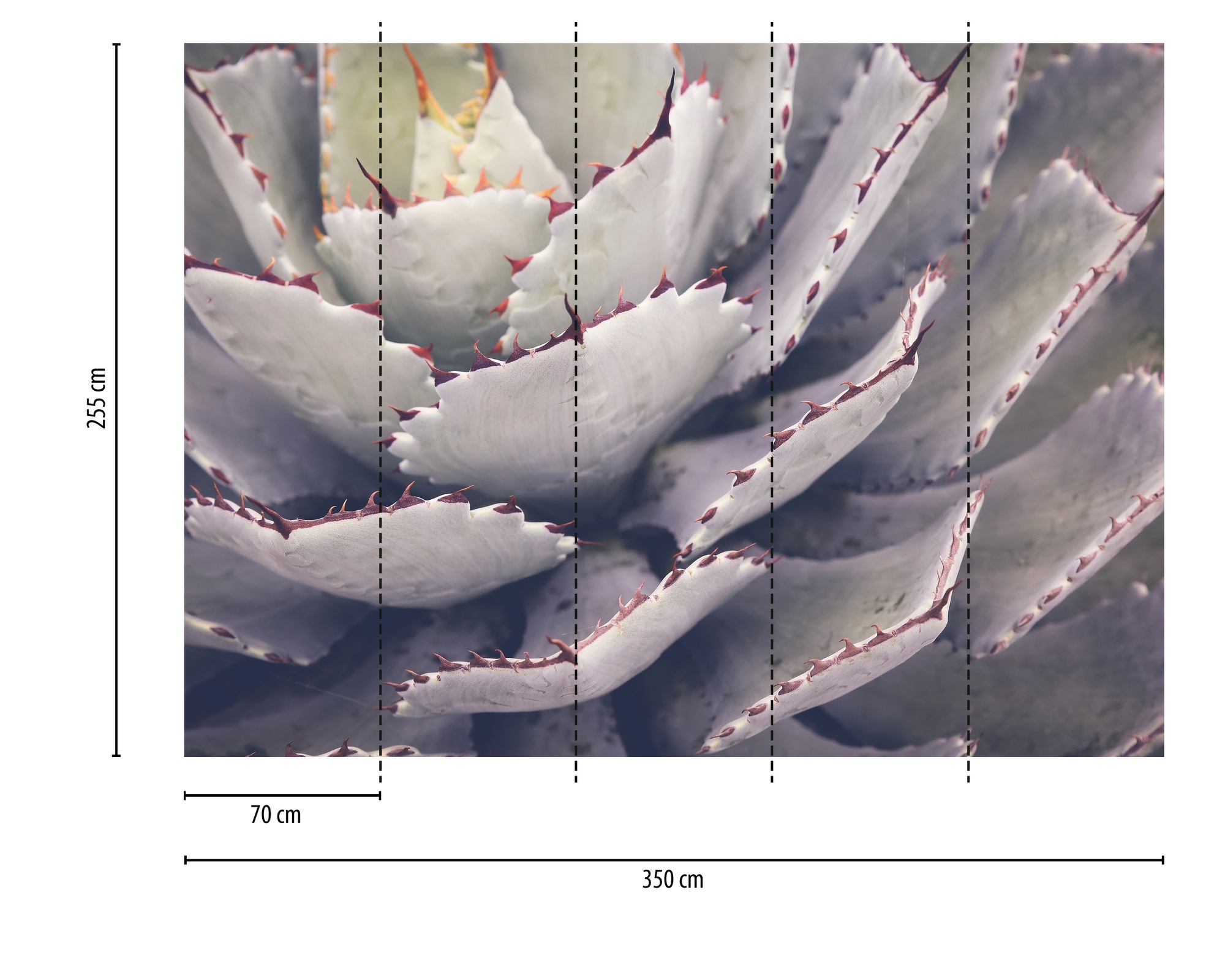 A.S. Création Vliestapete »Fototapete Sukkulente Makroaufnahme Violett Grau« matt strukturiert