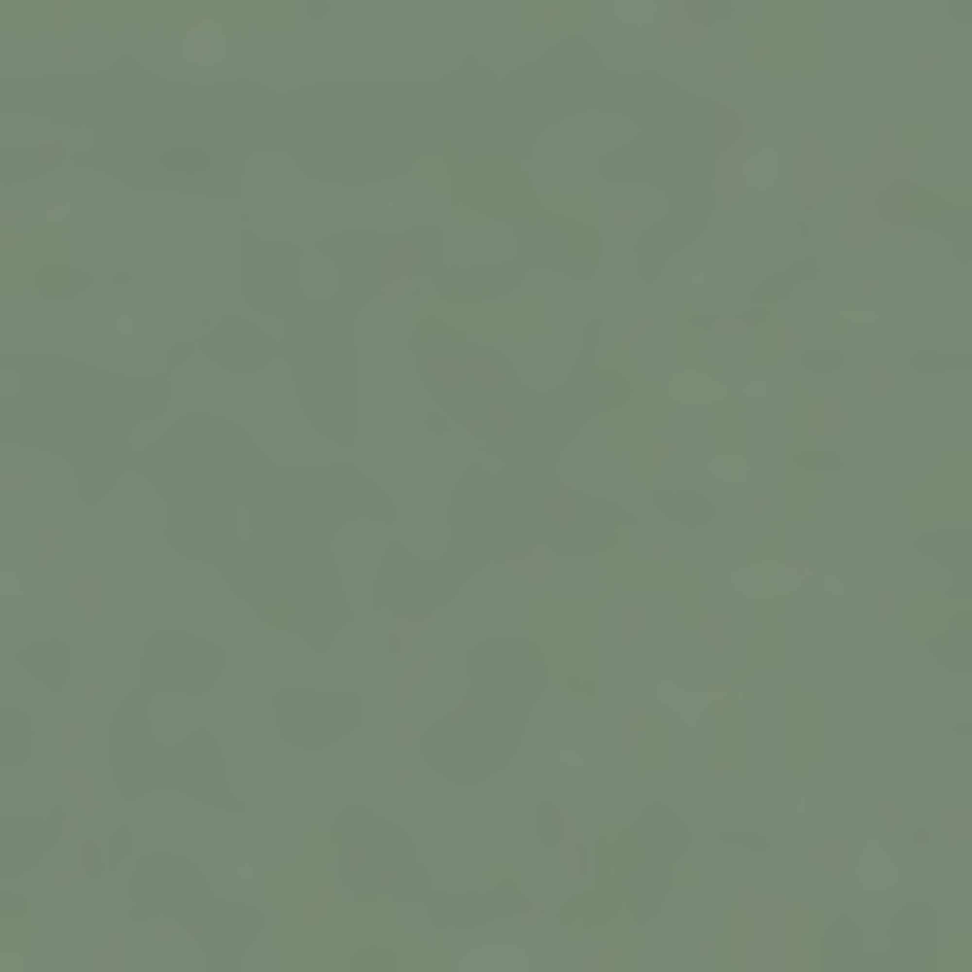 BOSS GREEN Kapuzensweatshirt »Soody Zone«, mit Kängurutasche, regular fit, Logodruck
