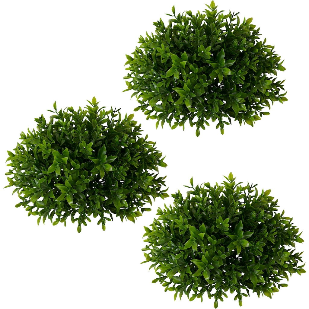 Creativ green Kunstpflanze »Buchsbaumhalbkugel«