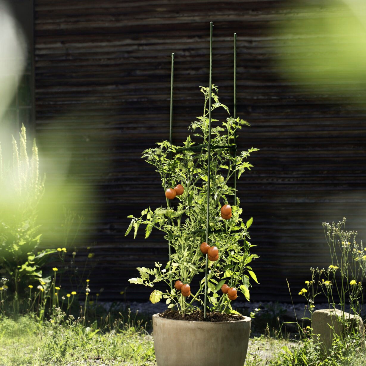 Windhager Ranksäule, Tomaten-Rankturm aus rostfreien Stahlrohren, H: 150 cm