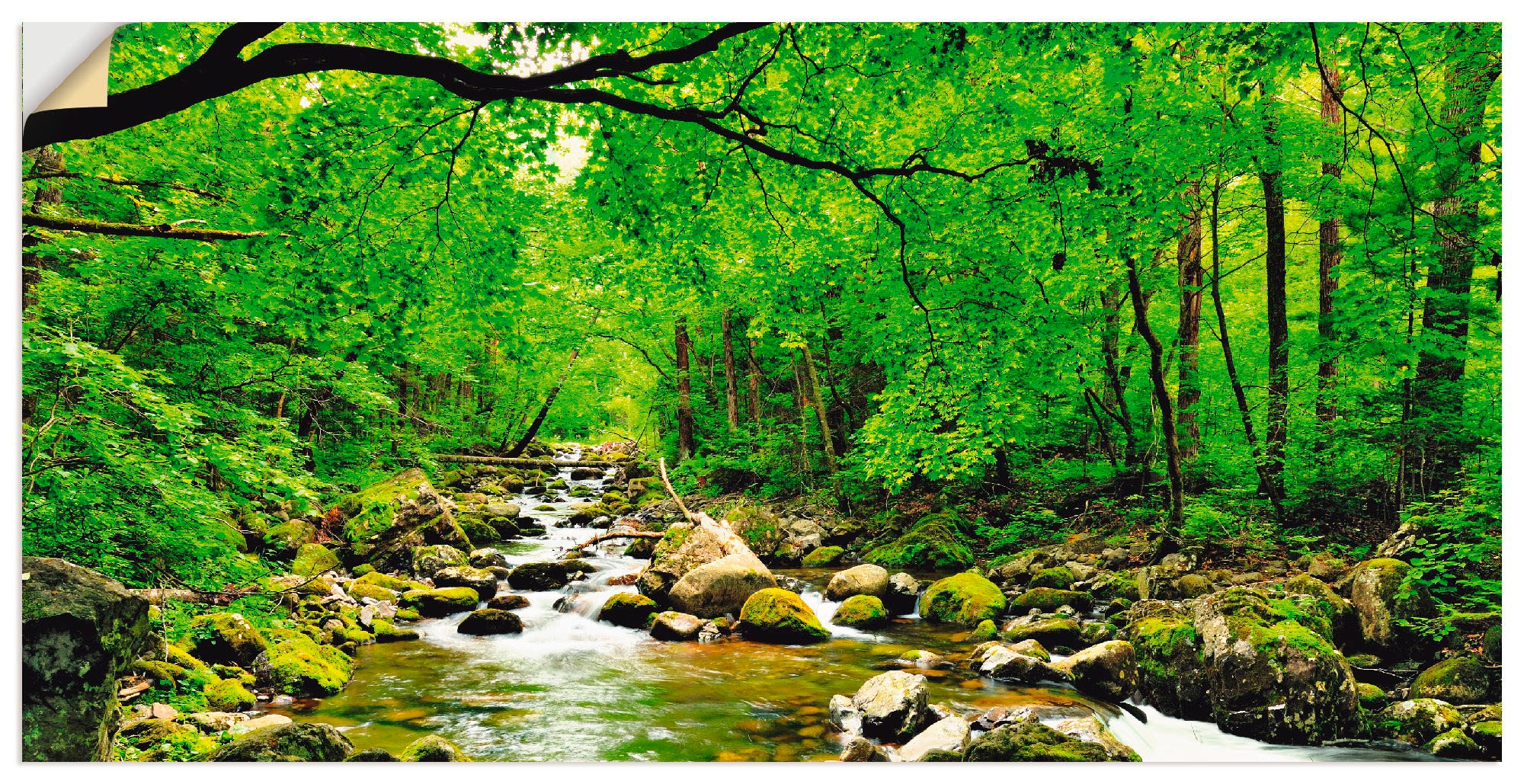 Artland Wandbild »Herbstwald Fluss Smolny«, Wald, (1 St.), als Leinwandbild, Poster, Wandaufkleber in verschied. Größen