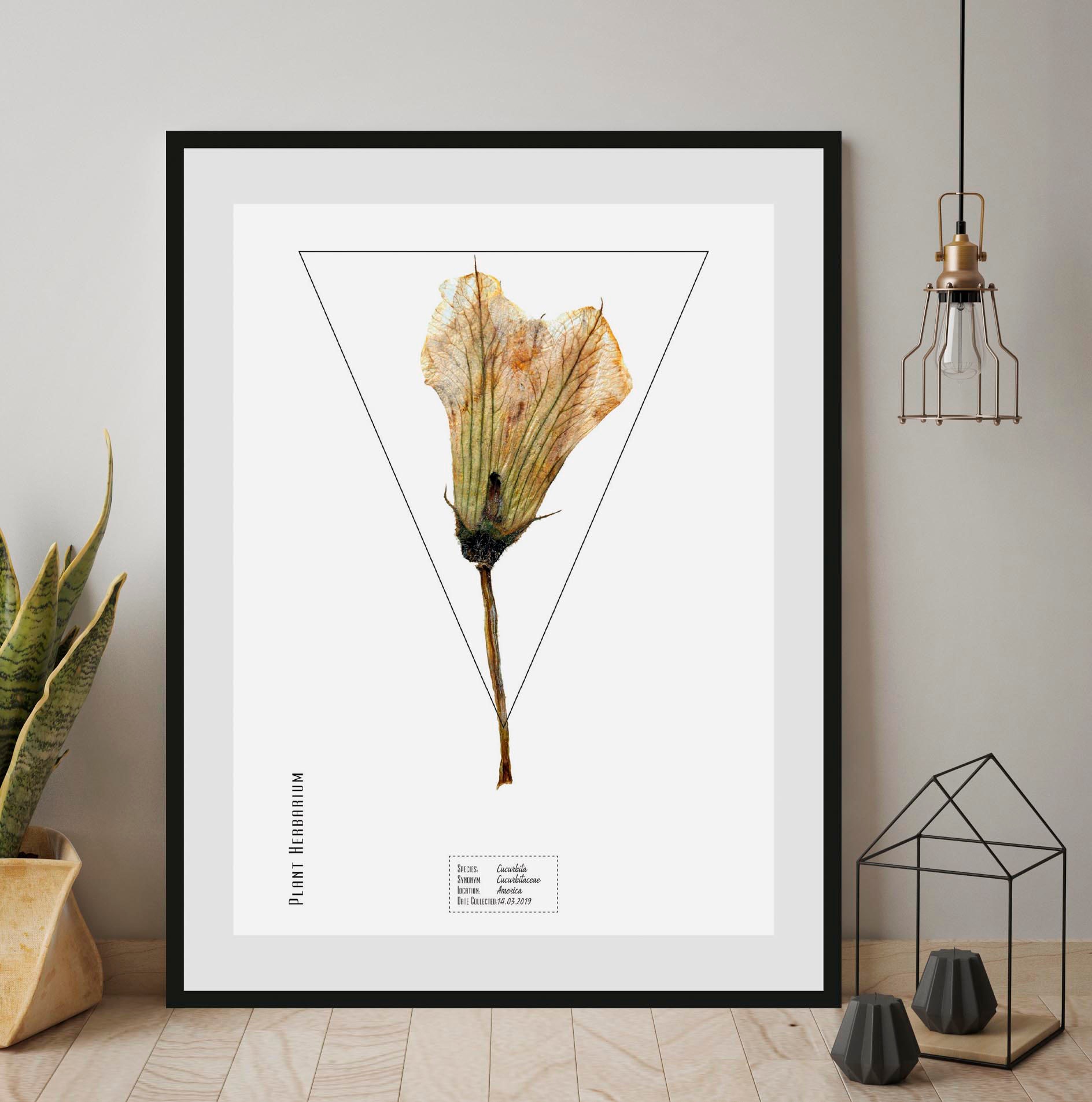 queence Bild »Cucurbita«, Pflanzen-Pflanzenbilder-Schriftzug, (1 St.), HD P günstig online kaufen