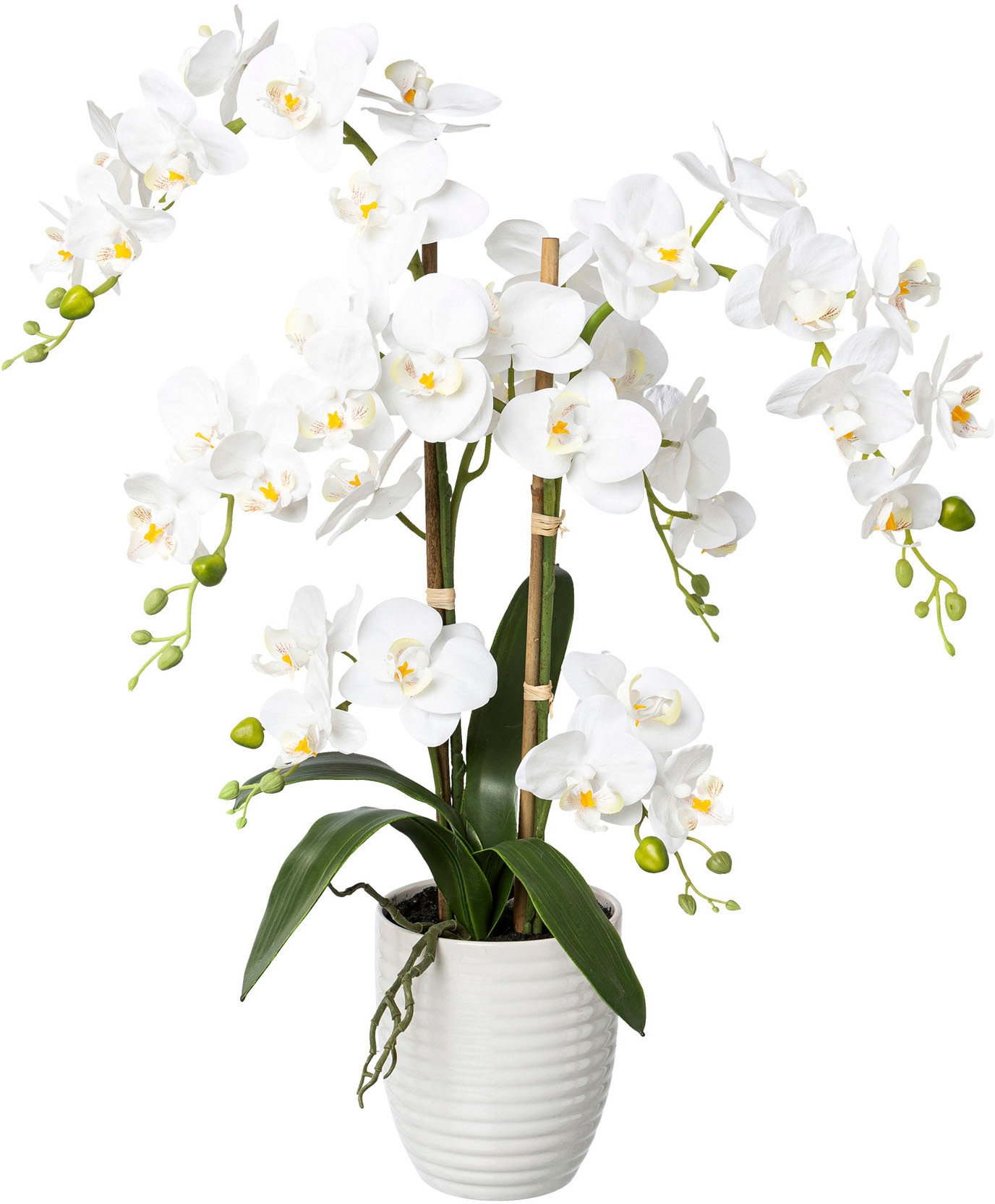 Creativ green Kunstorchidee »Deko-Orchidee Phalaenopsis im Keramiktopf« günstig online kaufen